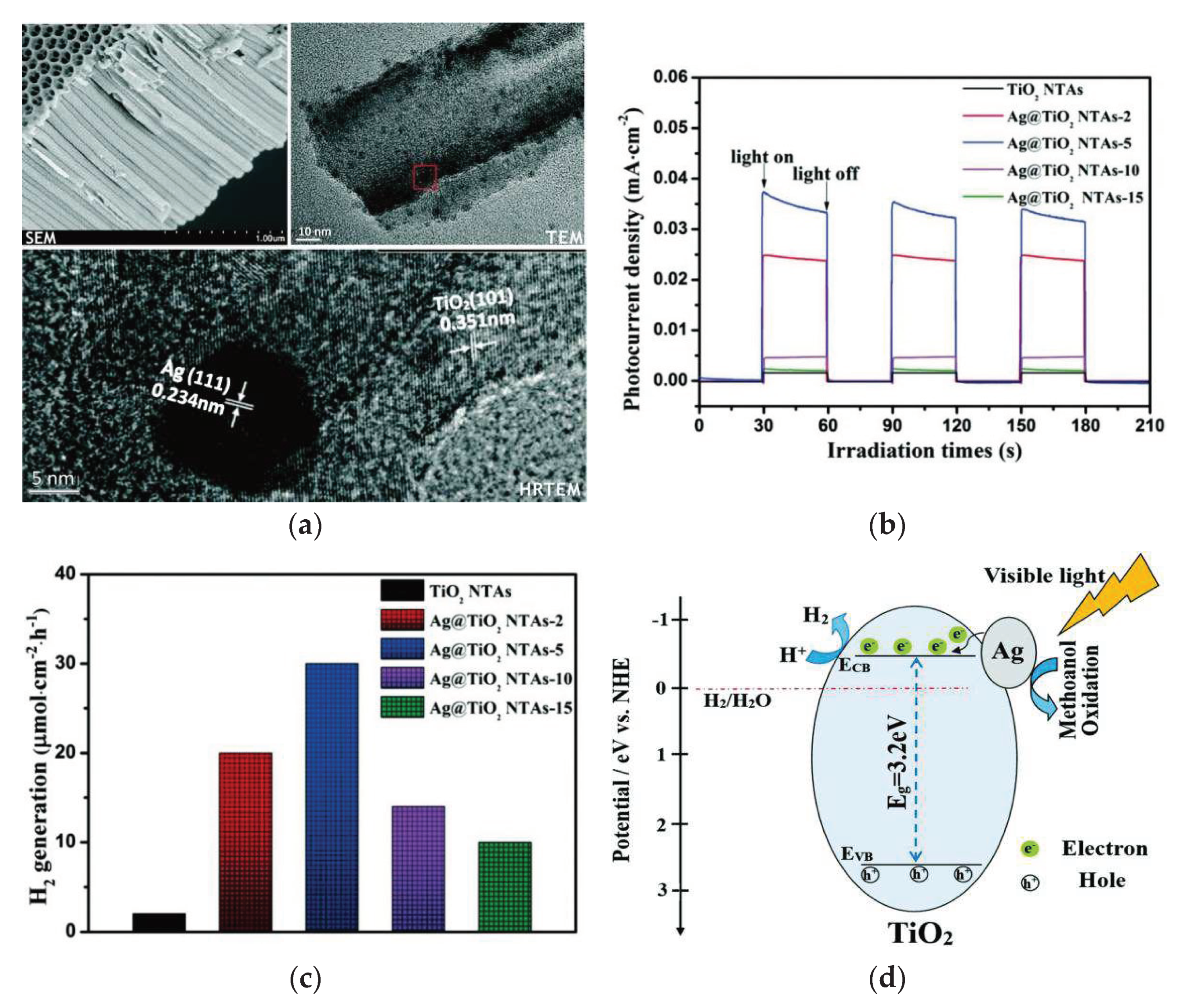 Preprints 74092 g015