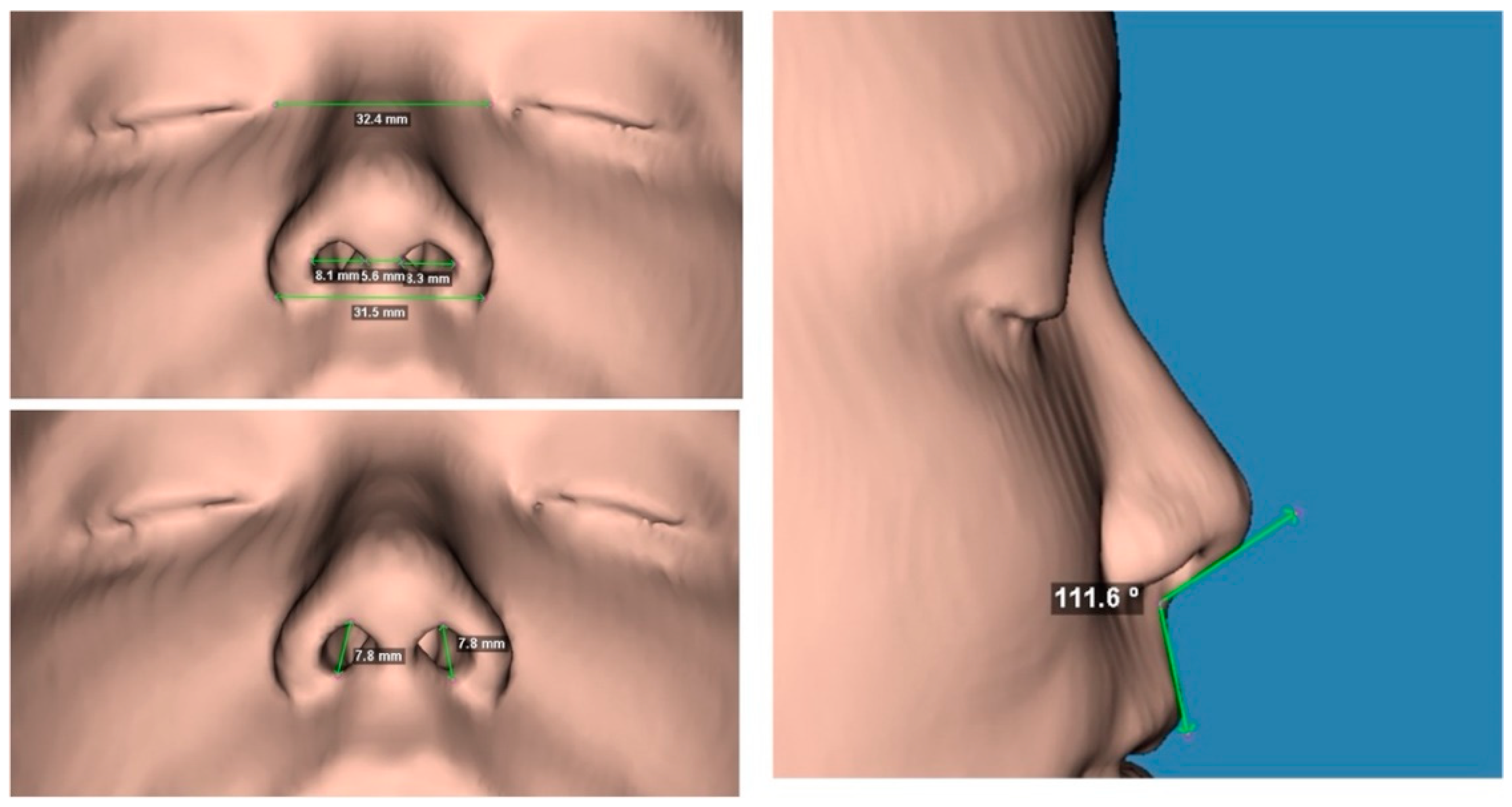Preprints 149980 g001