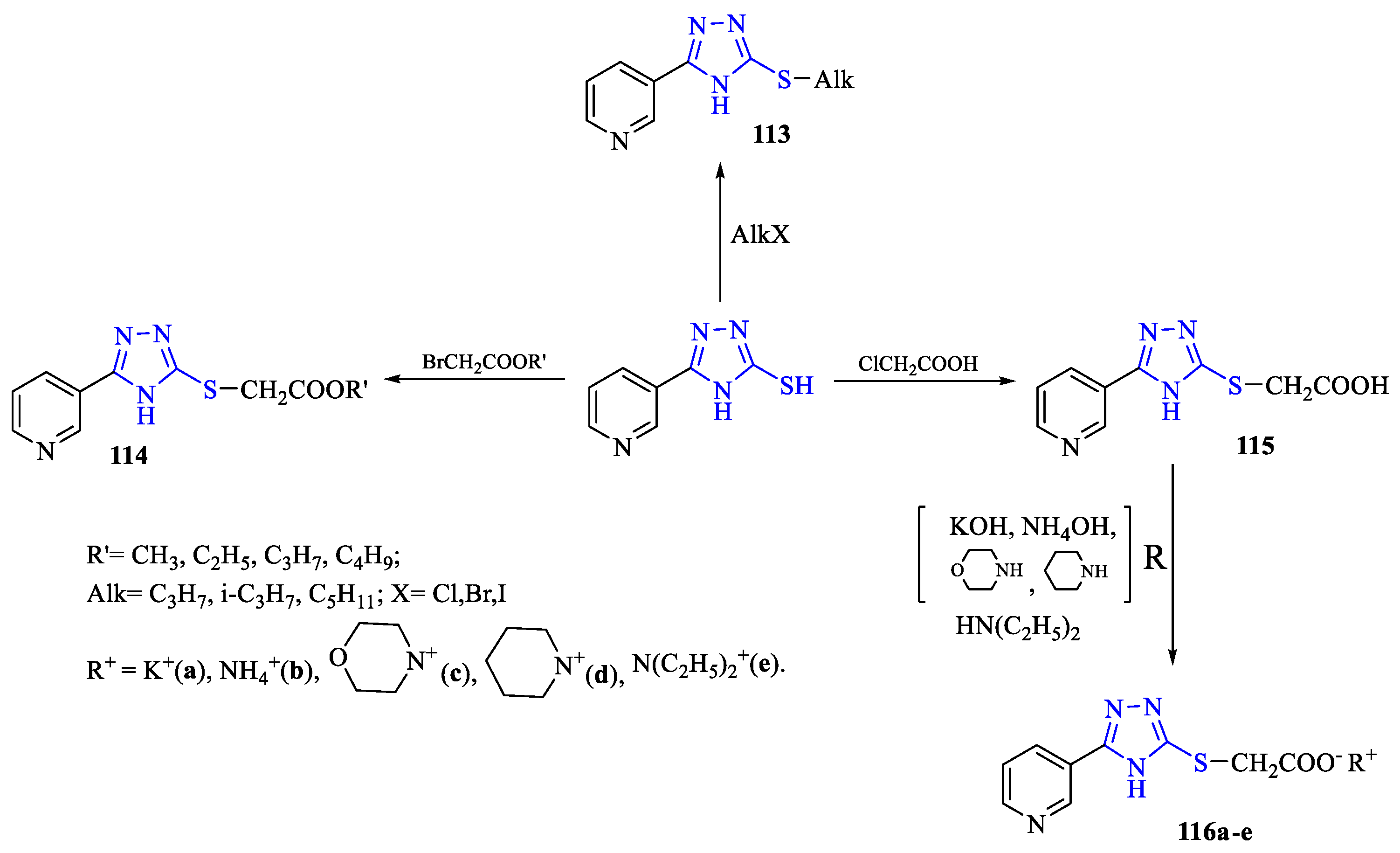 Preprints 165503 sch049