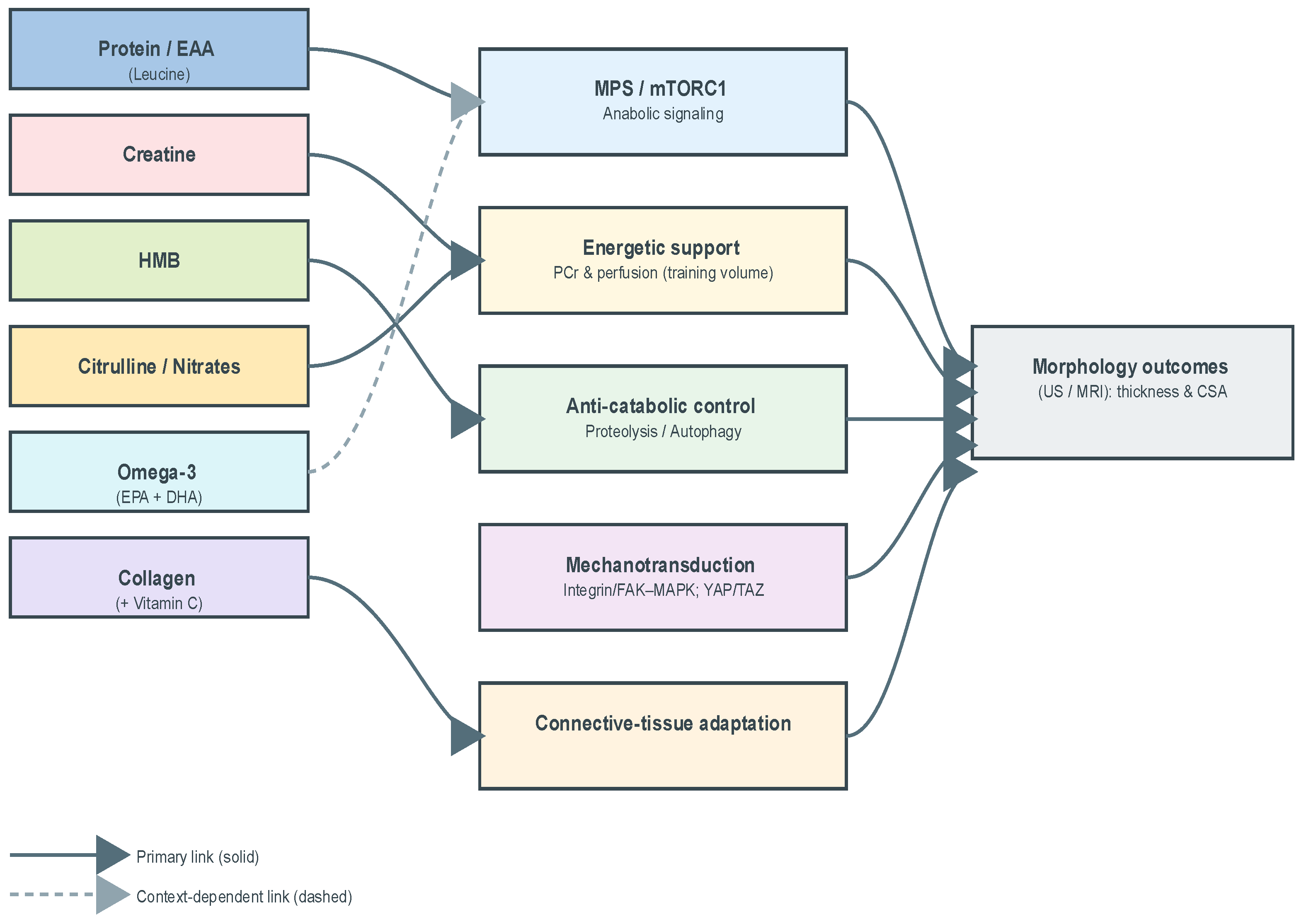 Preprints 177834 g001