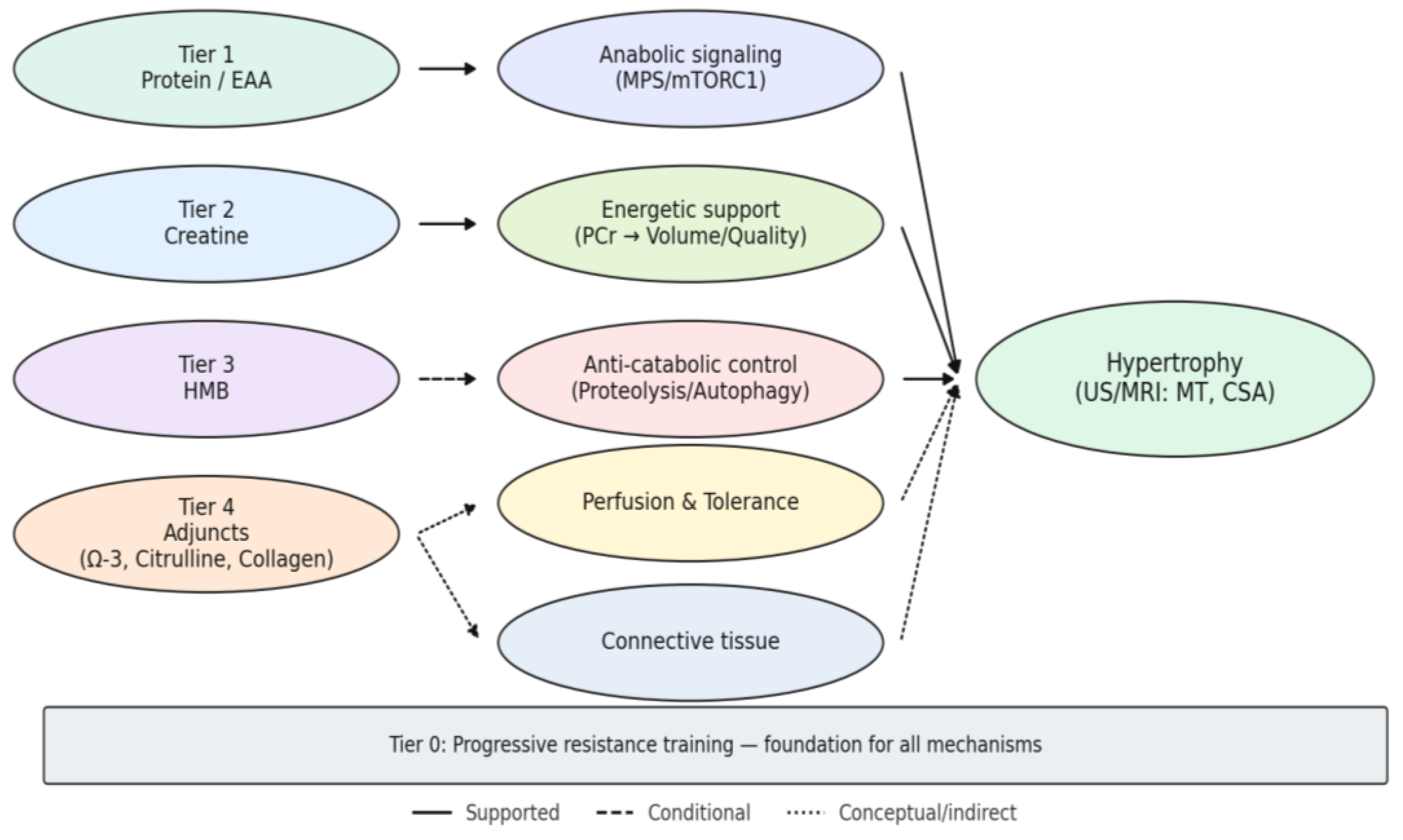 Preprints 177834 g003