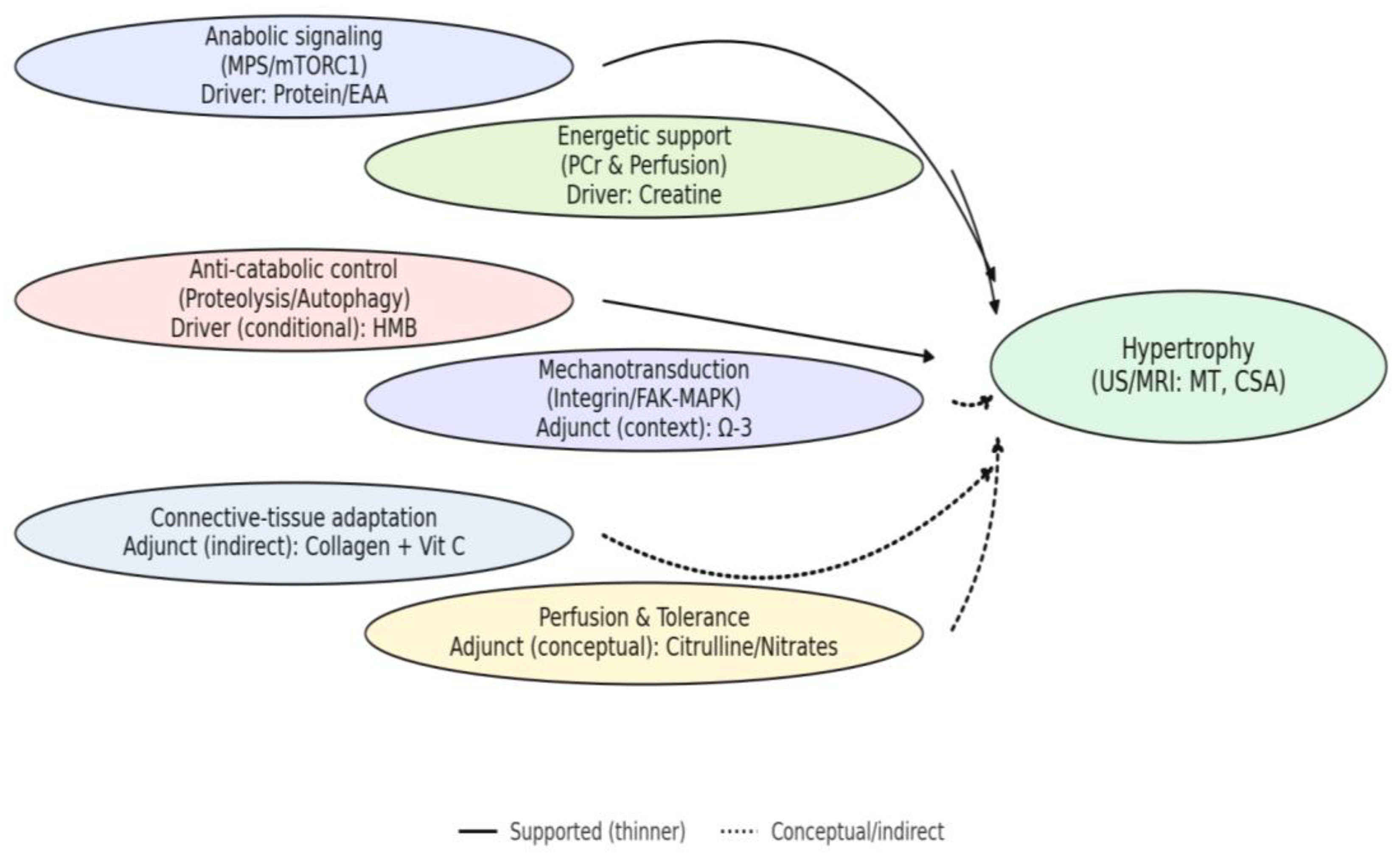 Preprints 177834 g004