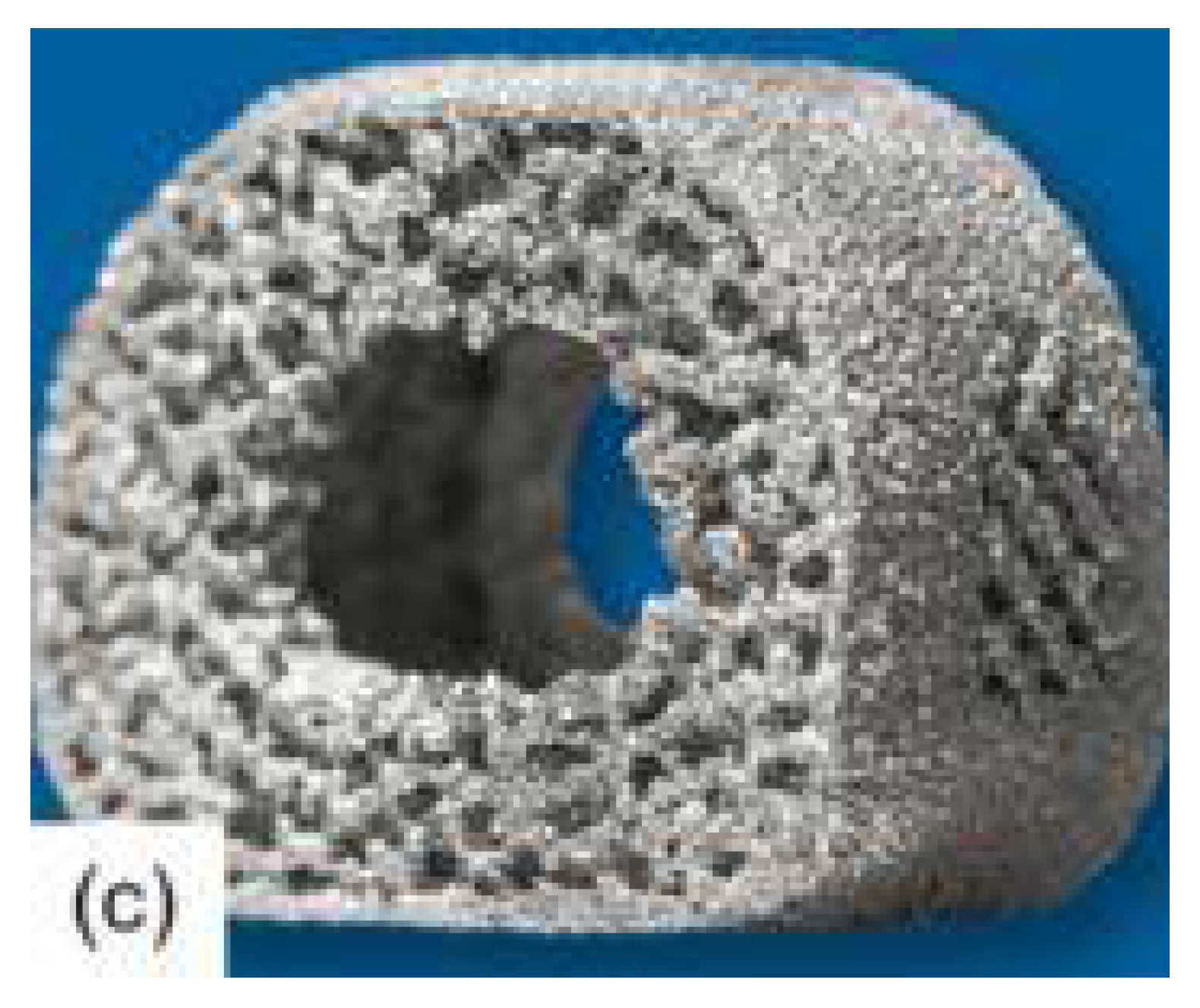 Preprints 111495 g001