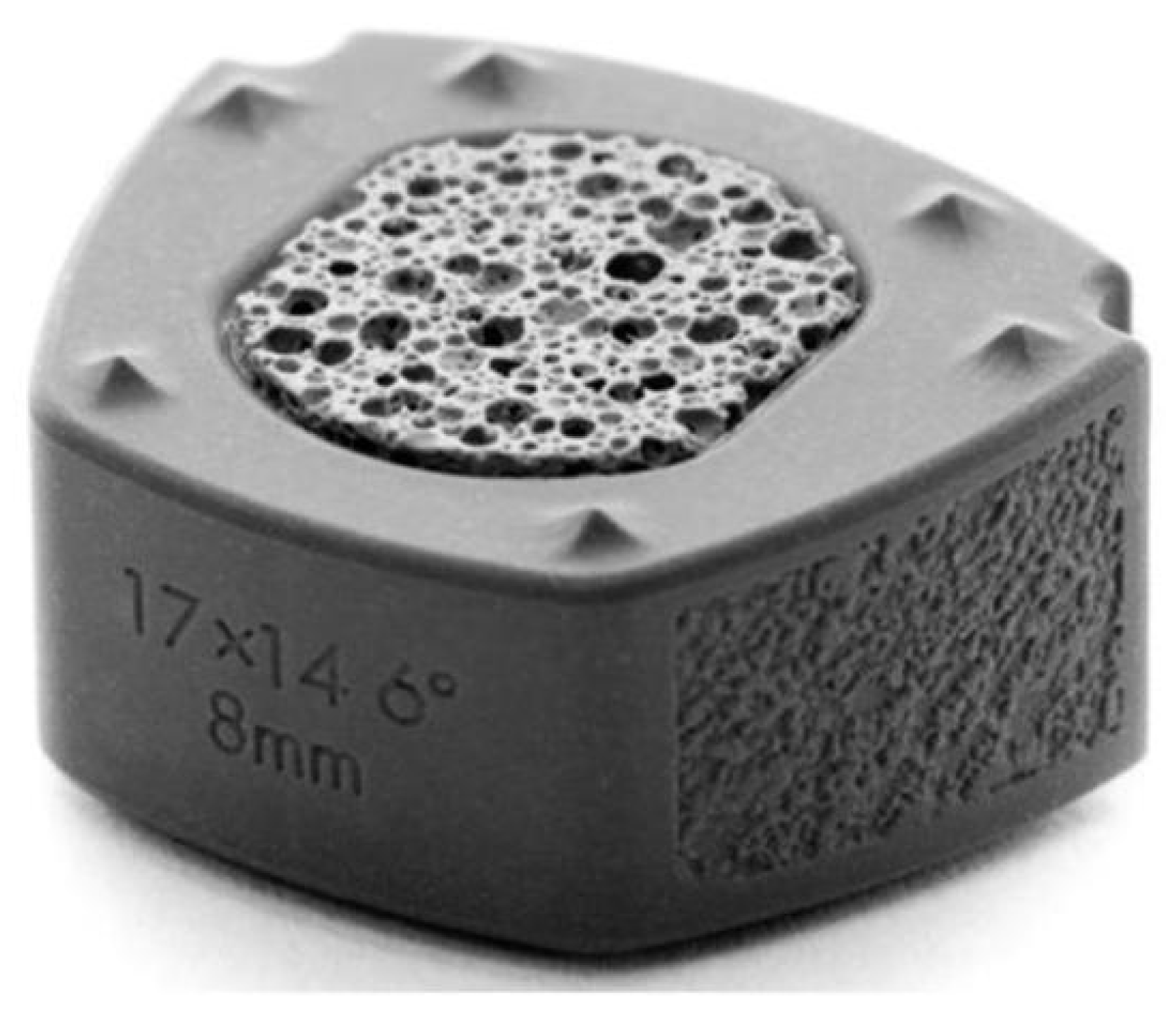 Preprints 111495 g002