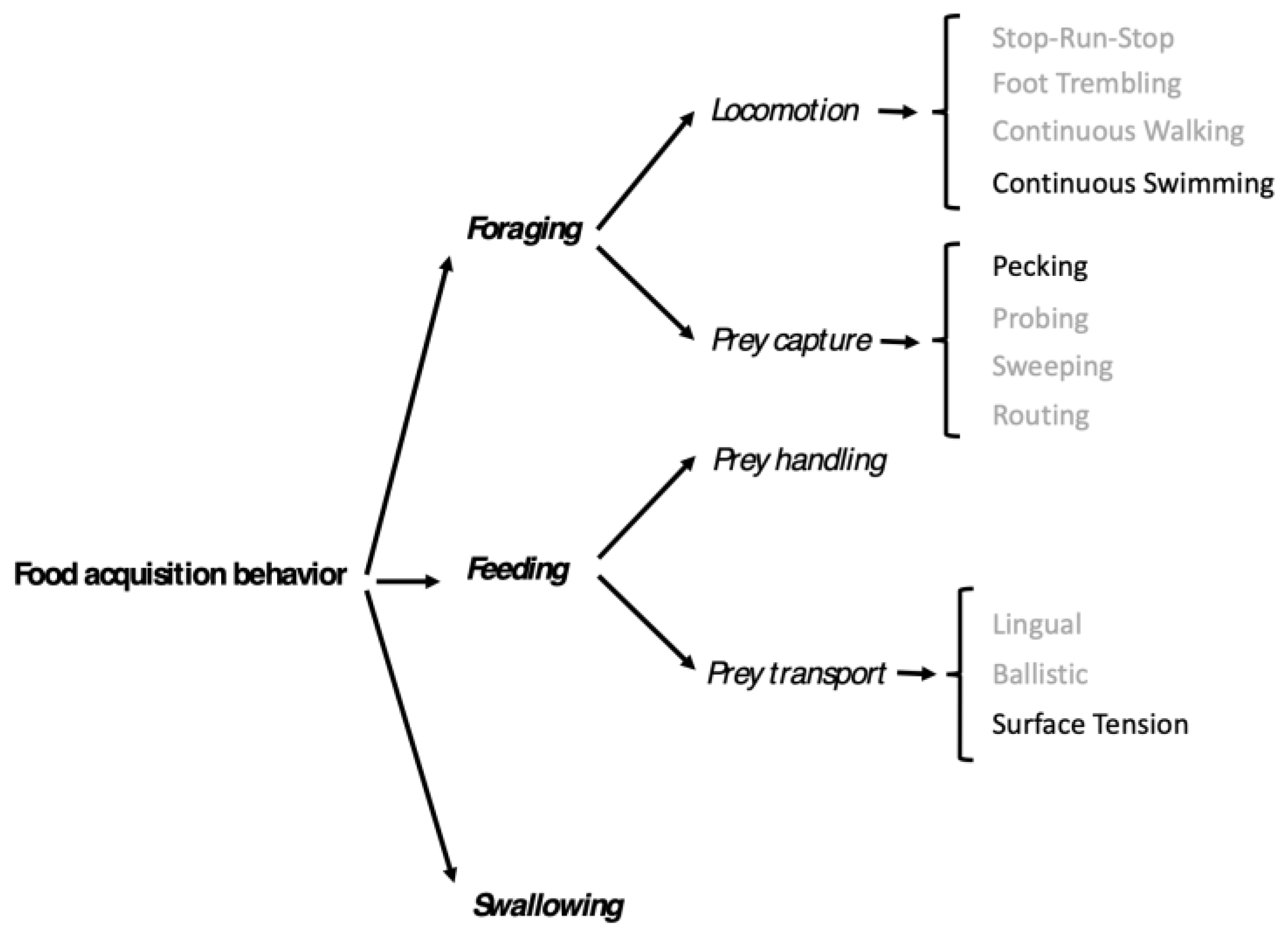 Preprints 168706 g004