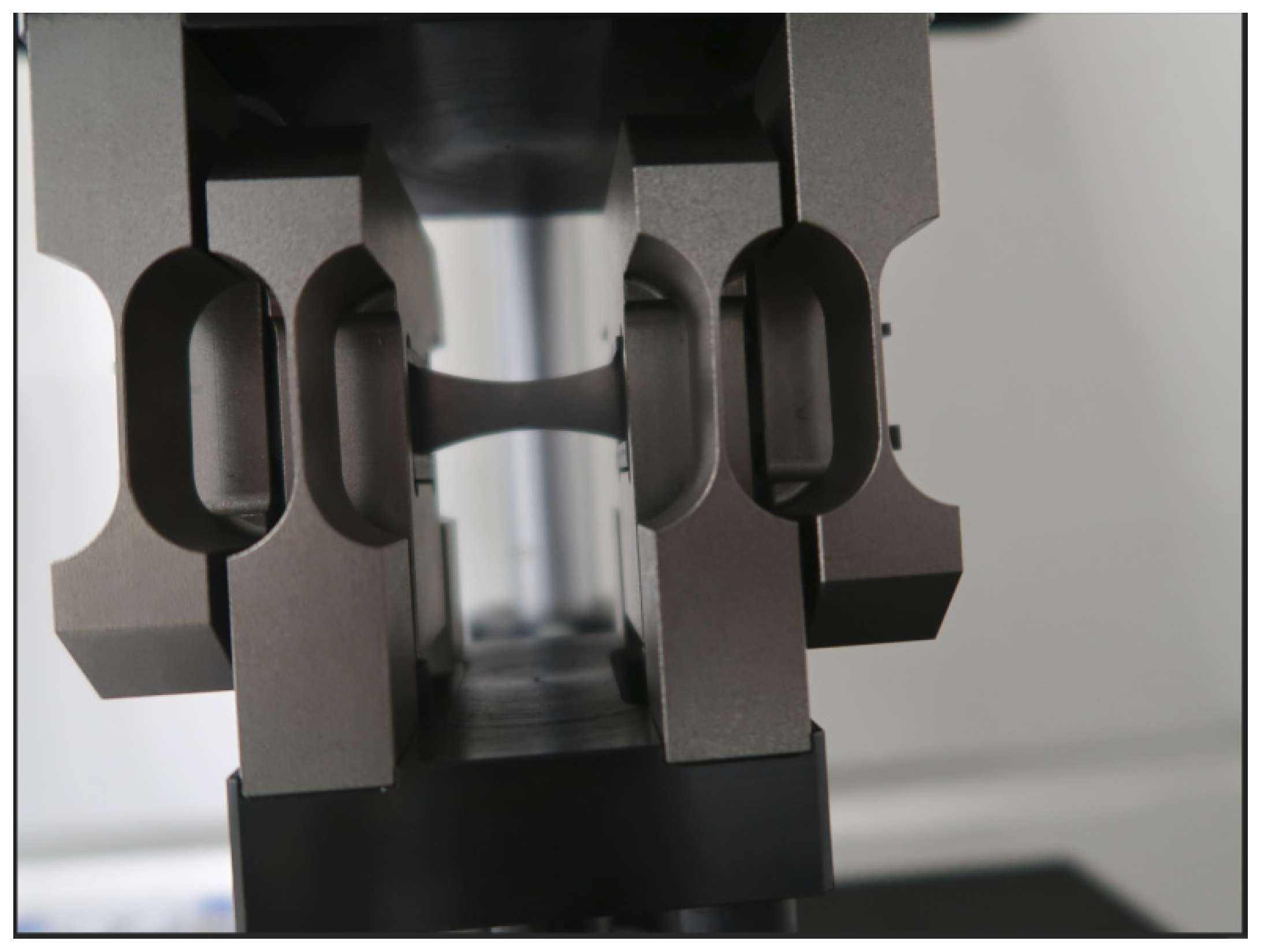 Preprints 156218 g003