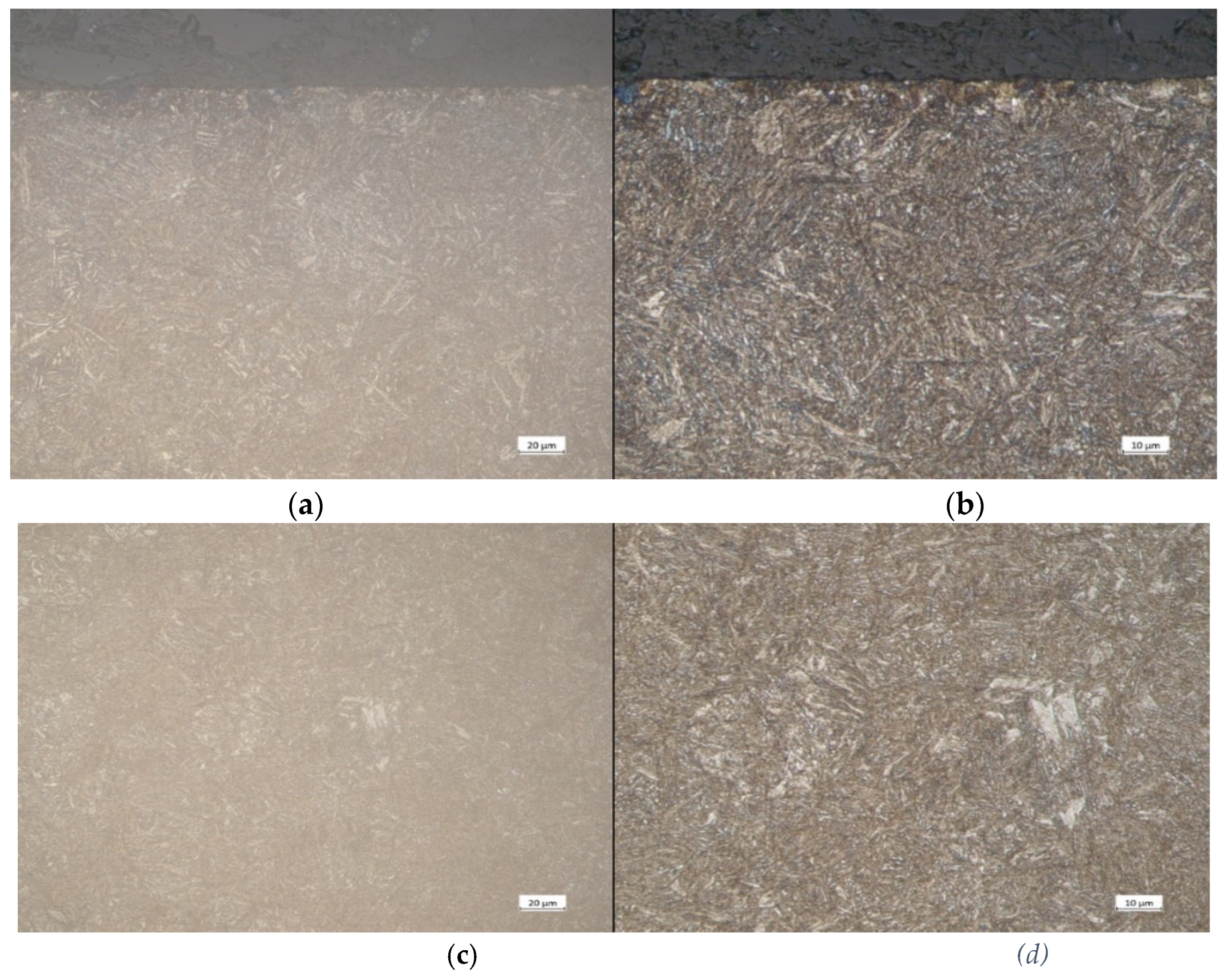 Preprints 156218 g005