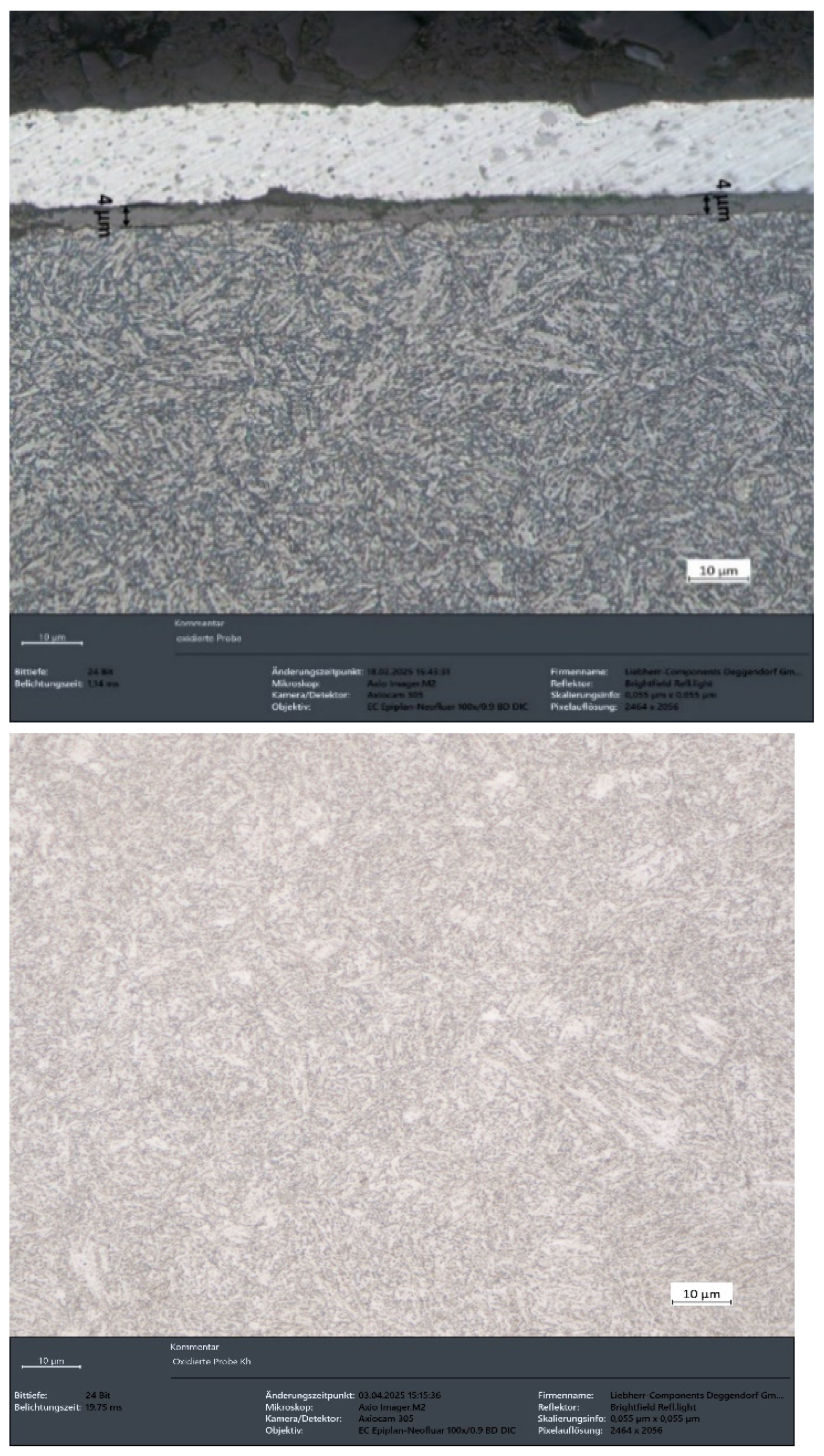 Preprints 156218 g009