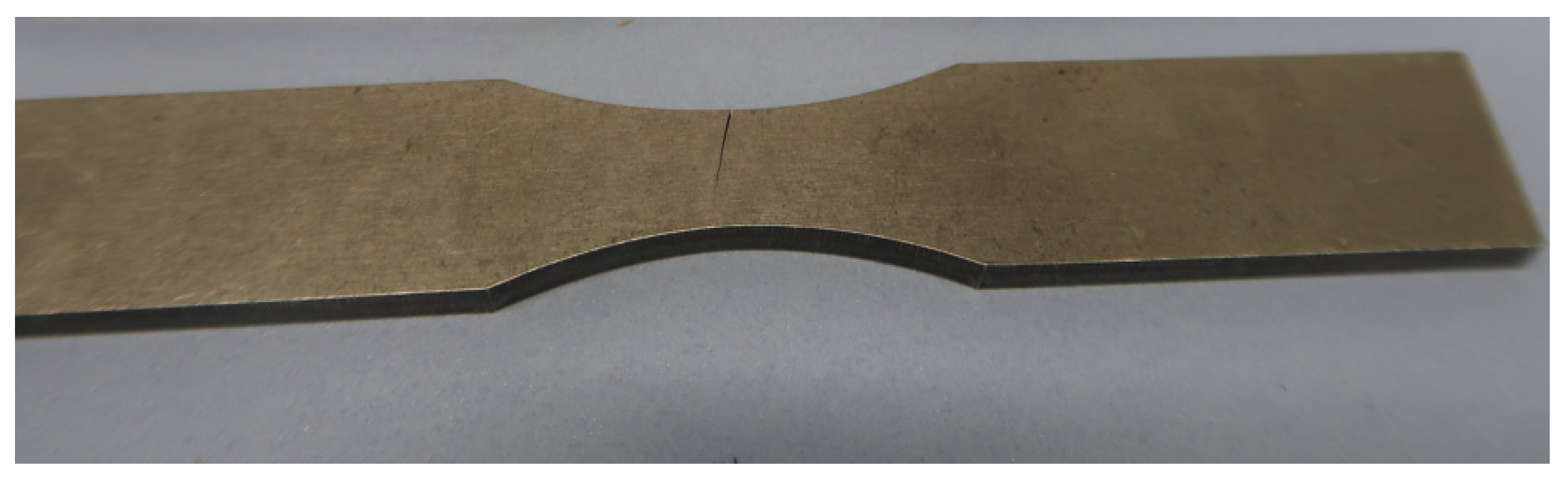 Preprints 156218 g019