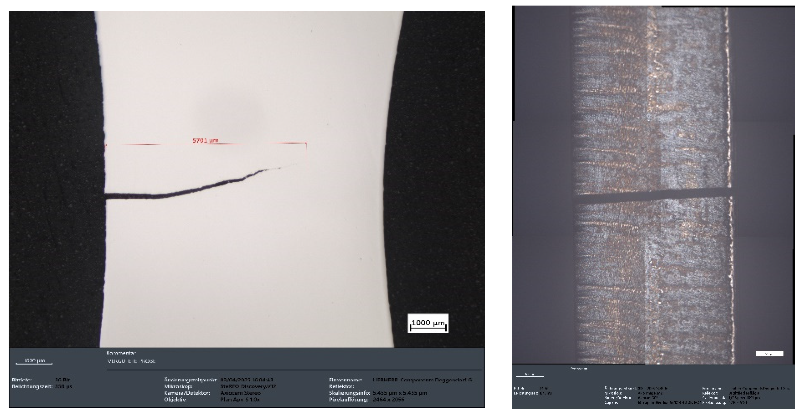 Preprints 156218 g020