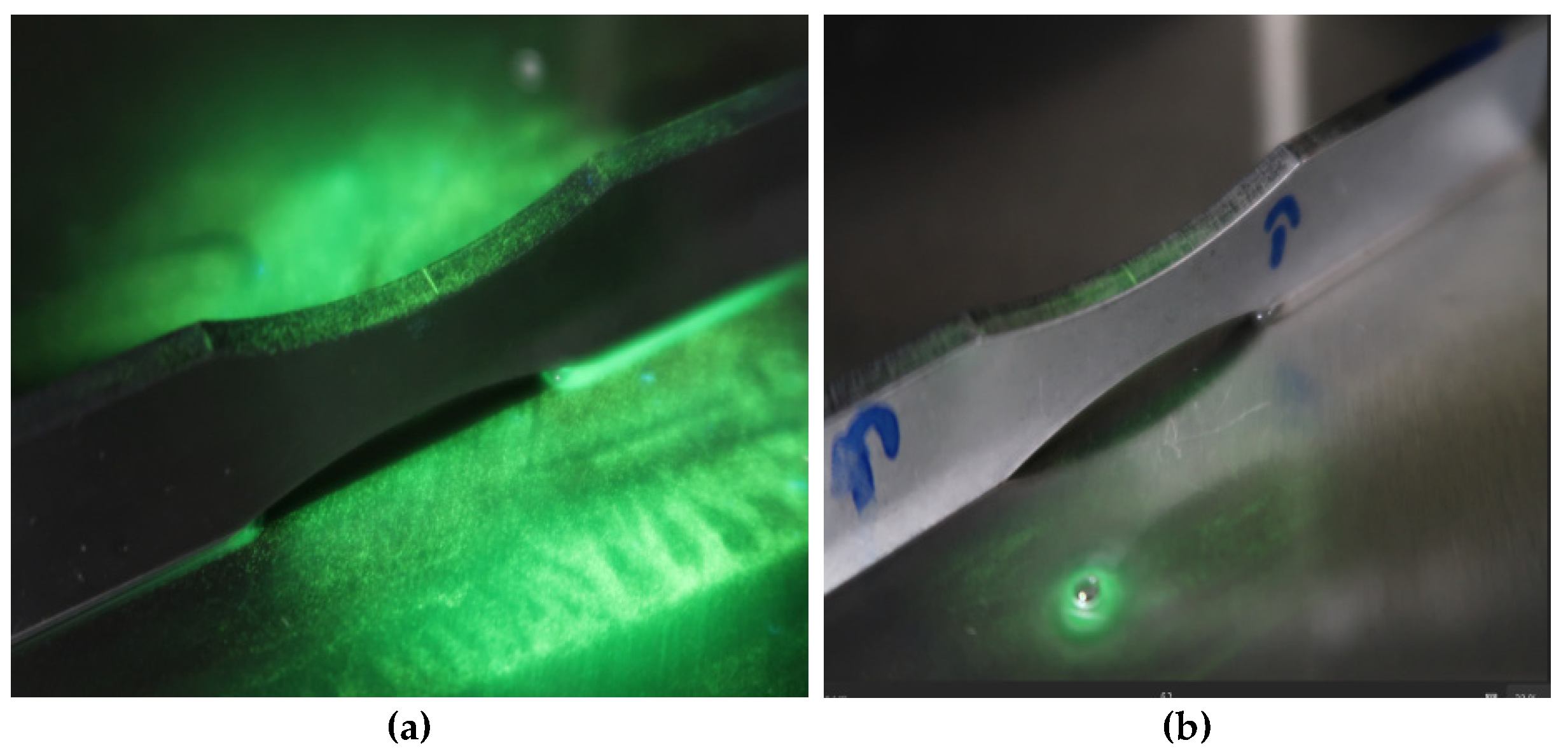 Preprints 156218 g022a