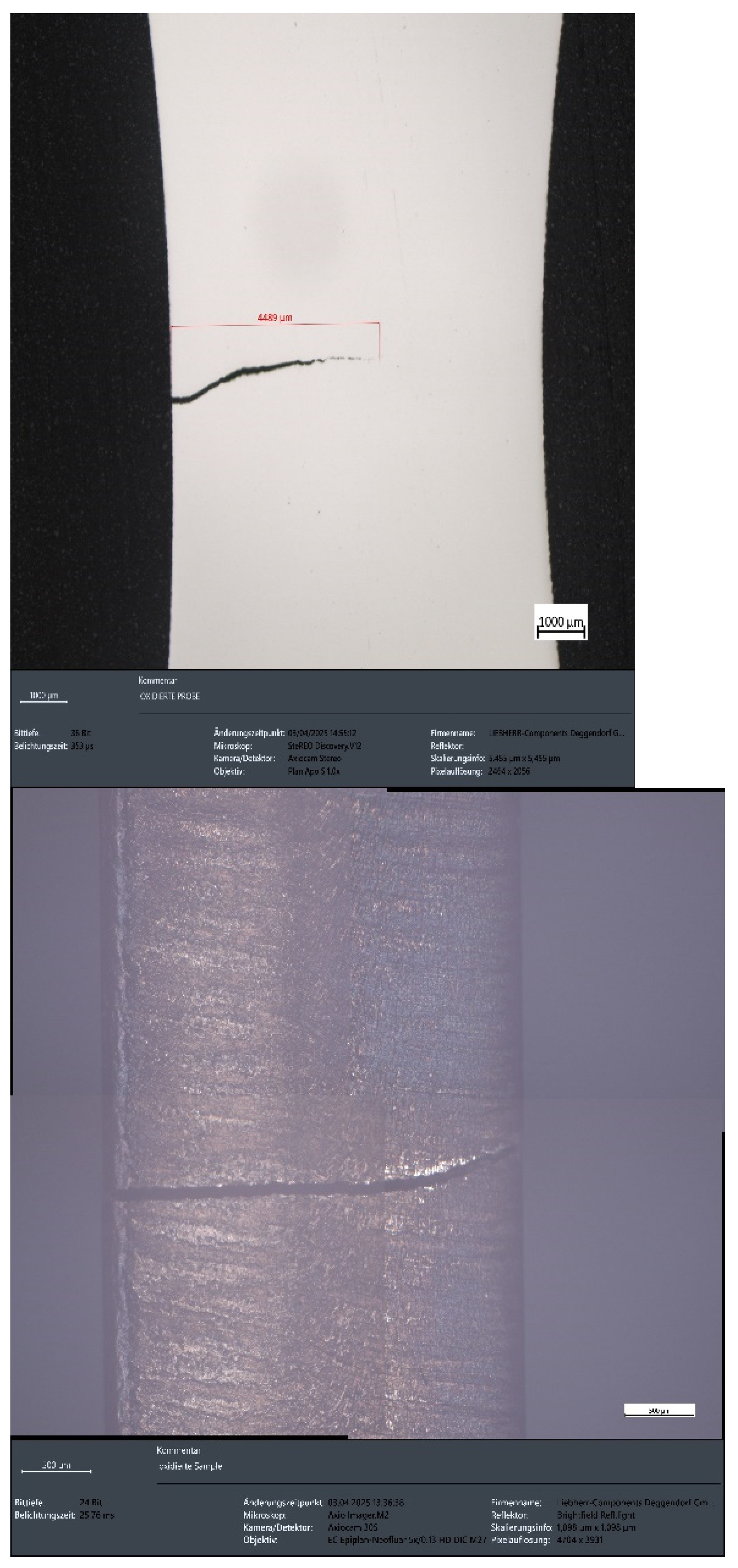 Preprints 156218 g027