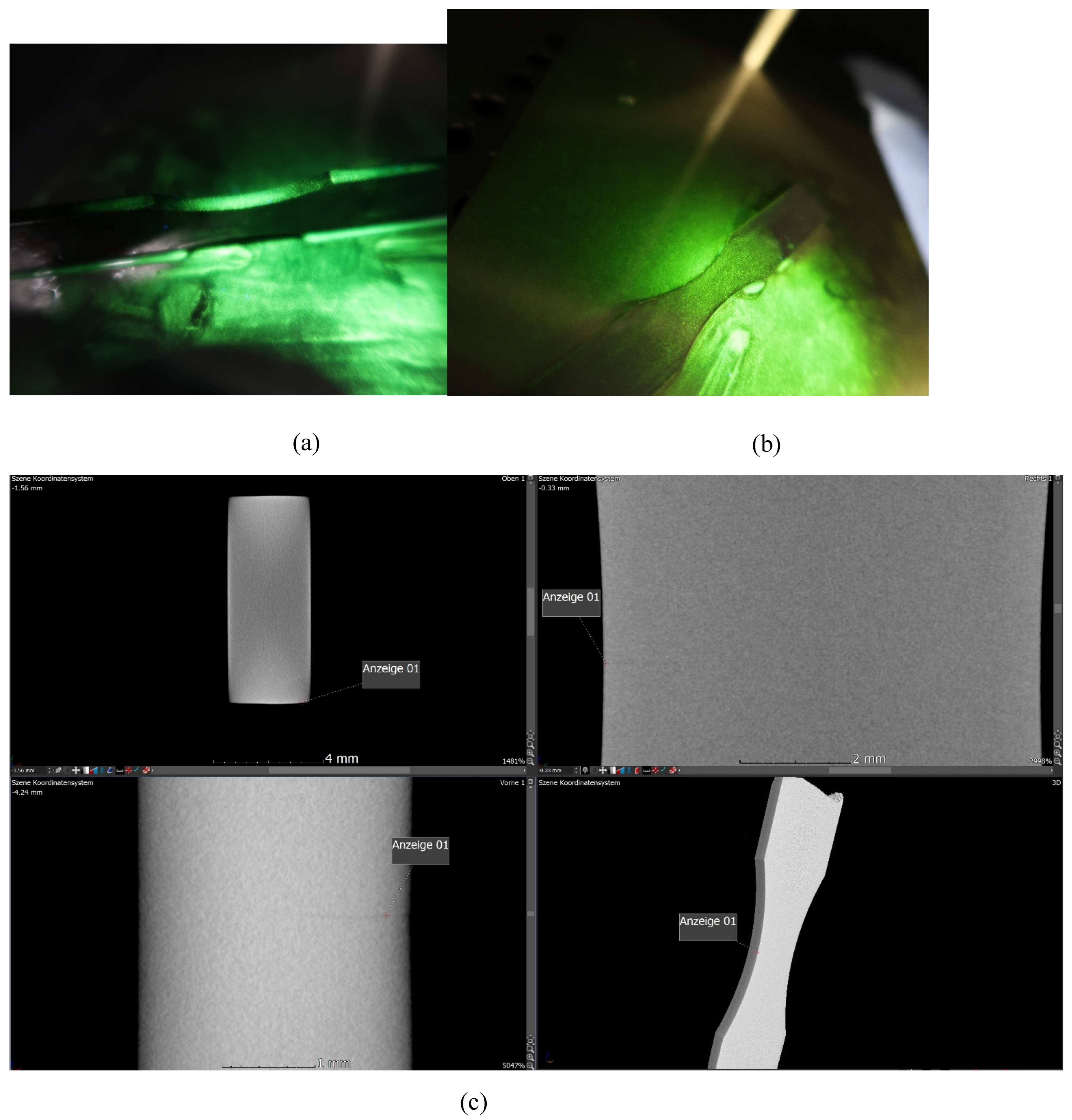 Preprints 156218 g030a