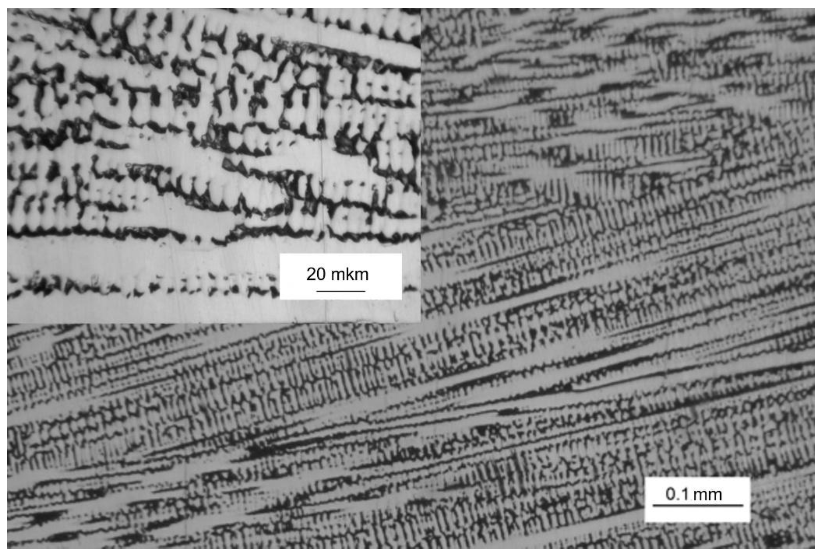 Preprints 160987 g001