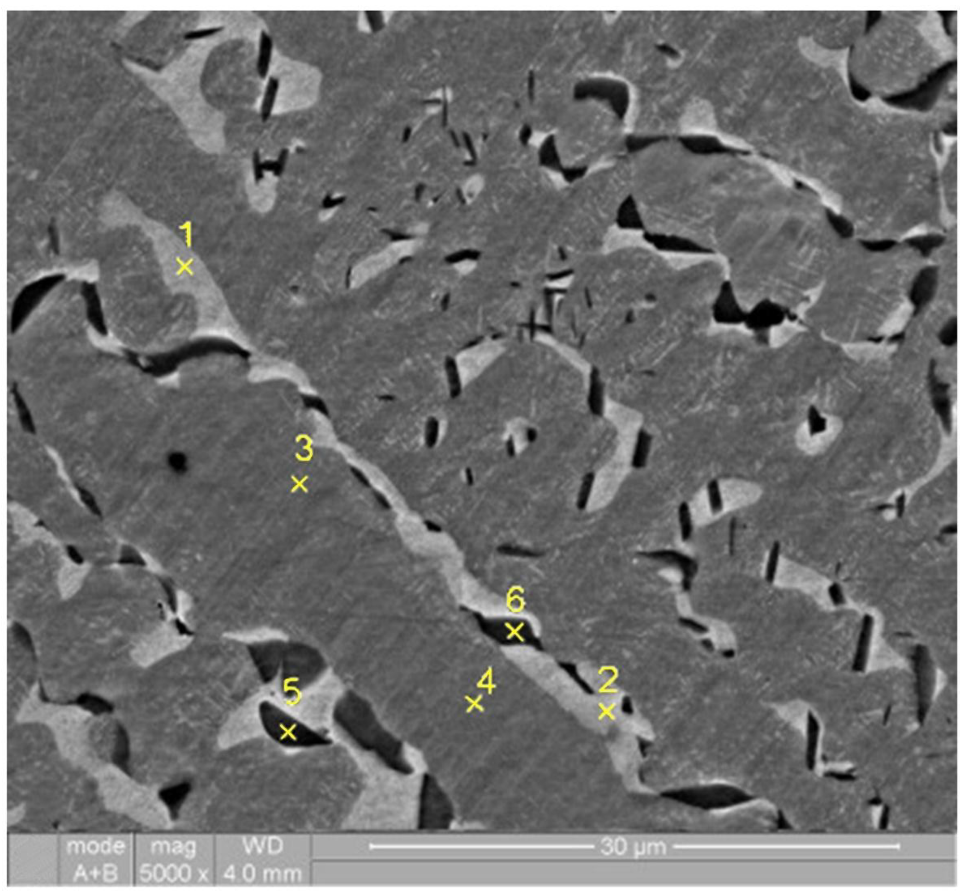 Preprints 160987 g005