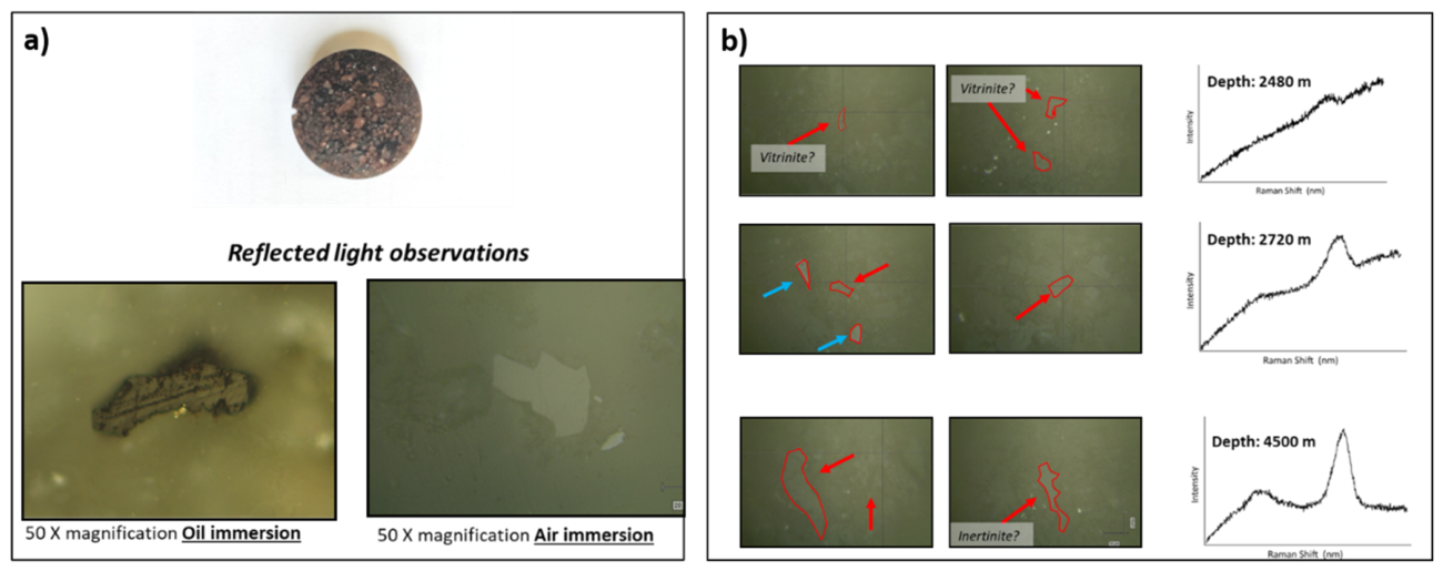 Preprints 234734 g007