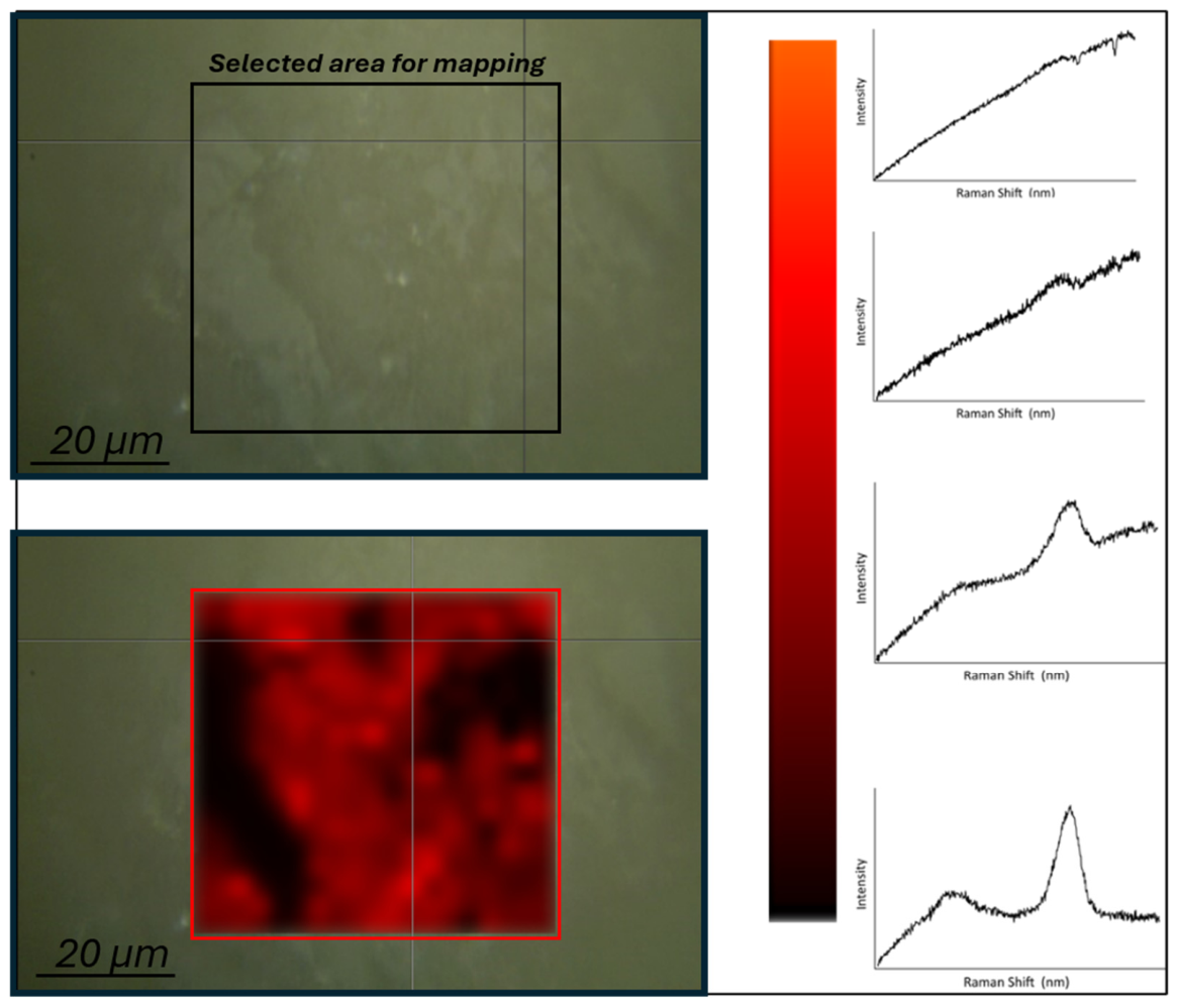 Preprints 234734 g009