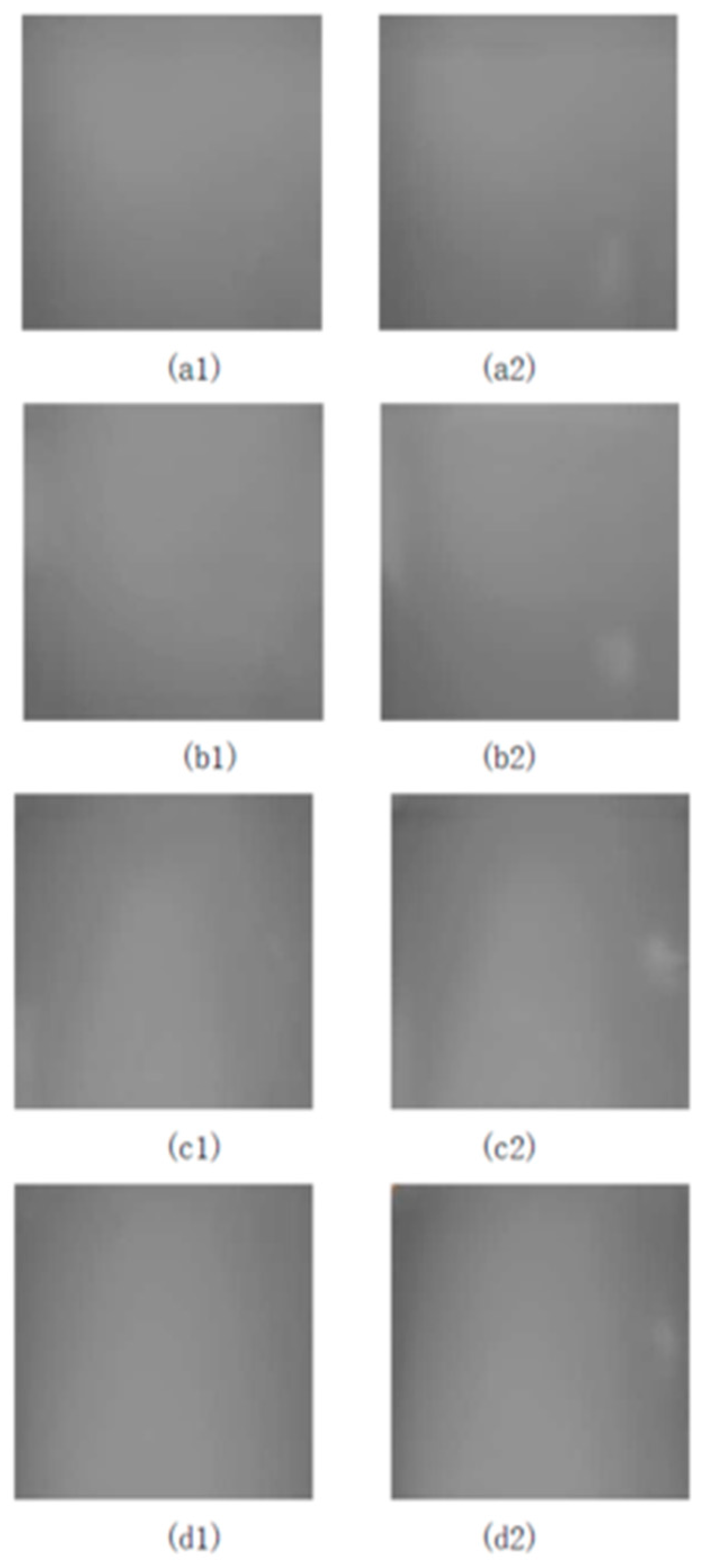 Preprints 91171 g005