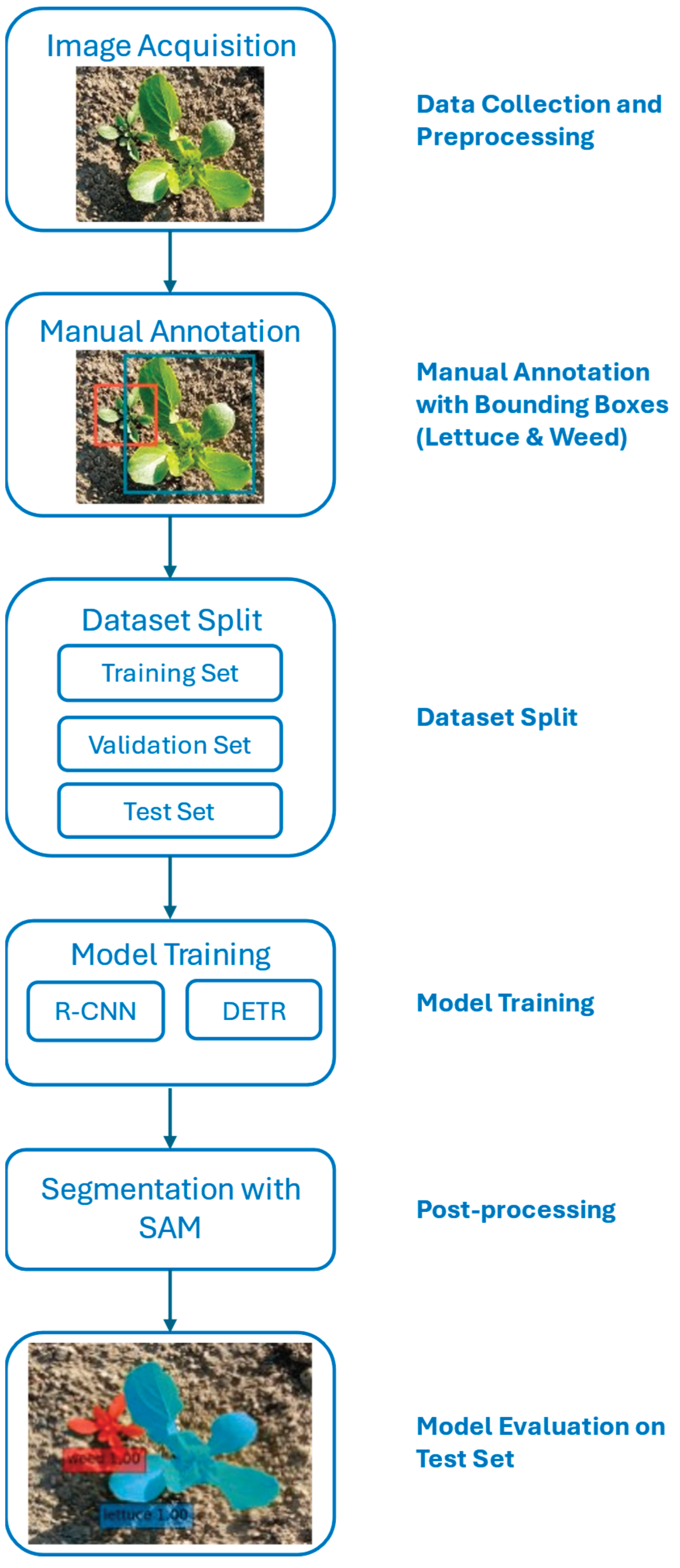 Preprints 162911 g001