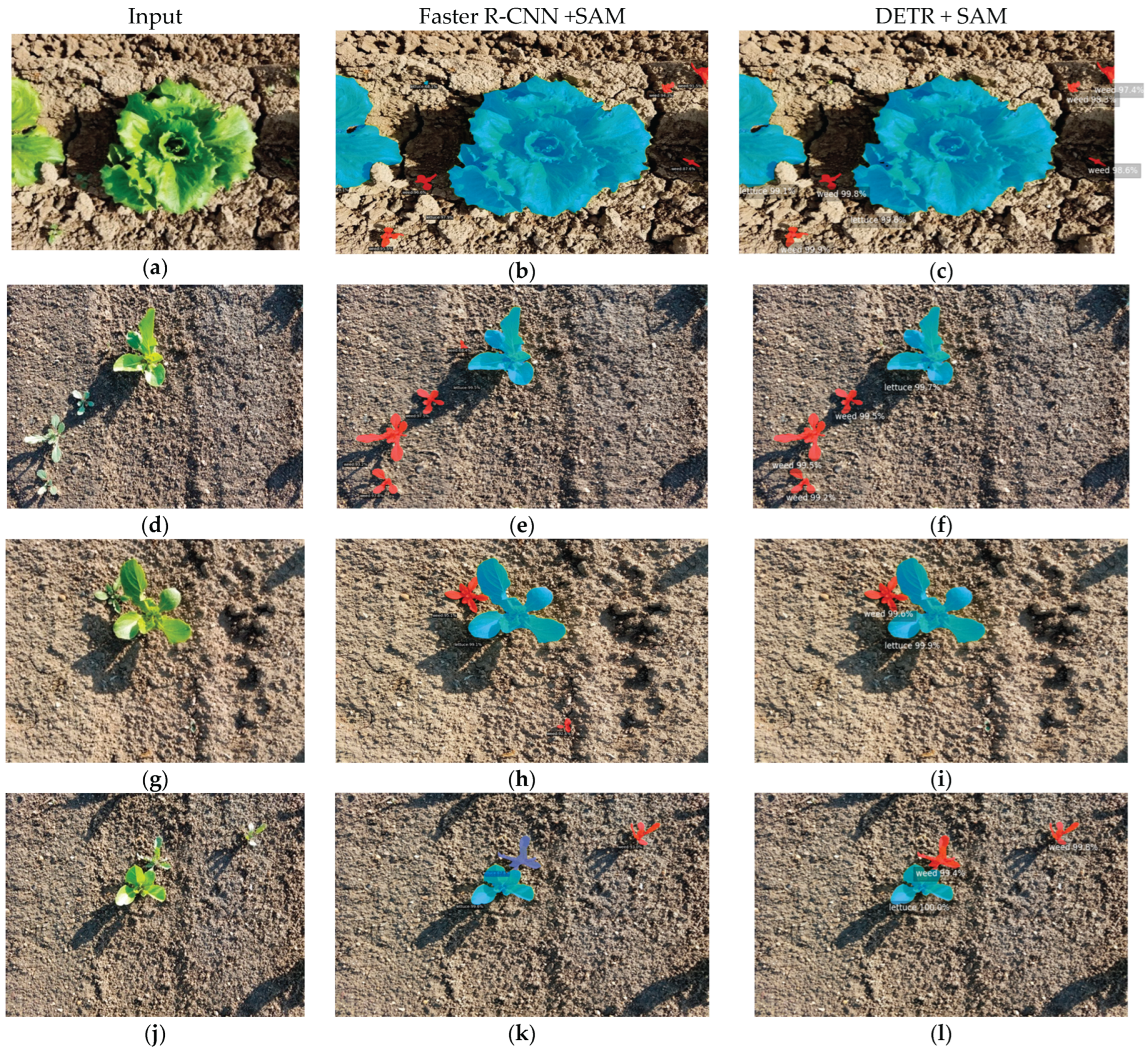 Preprints 162911 g002a