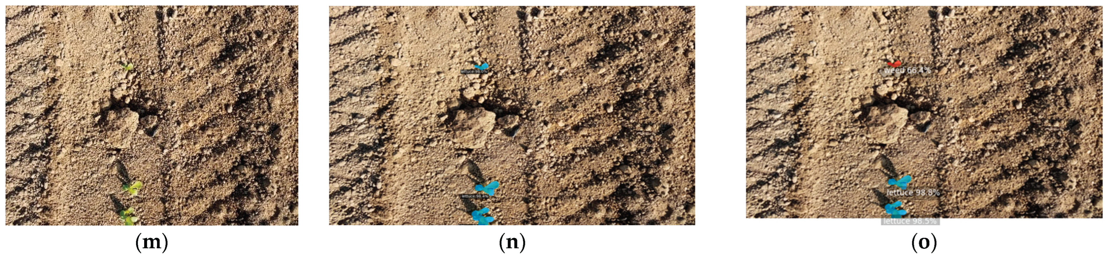 Preprints 162911 g002b