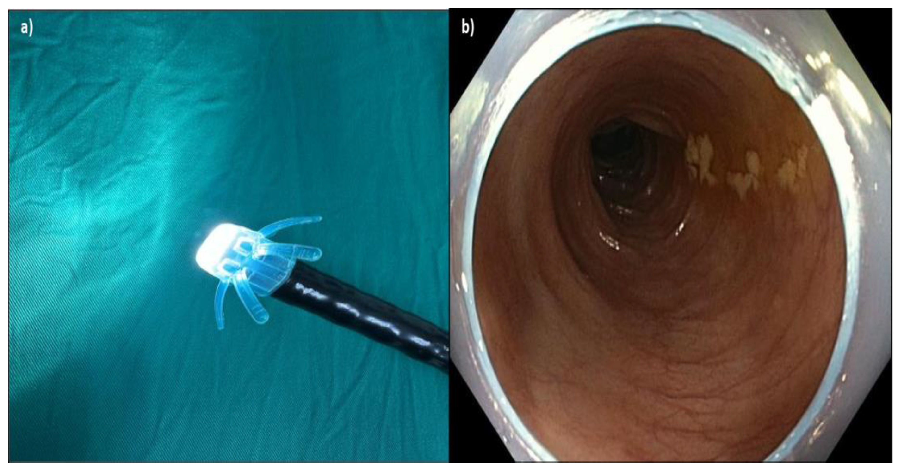 Preprints 151737 g002