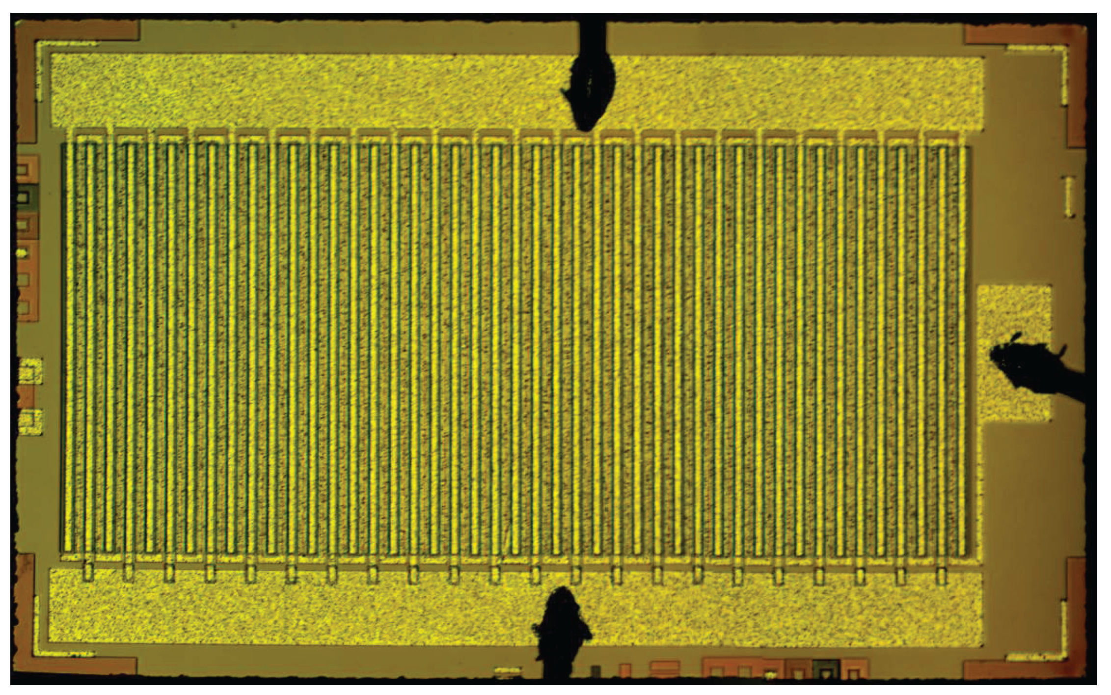 Preprints 170069 g002