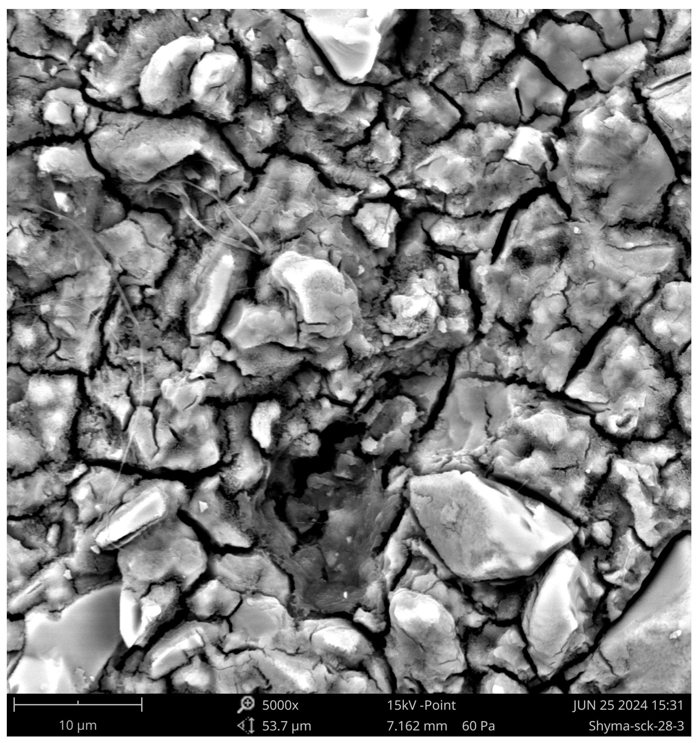 Preprints 179485 g019