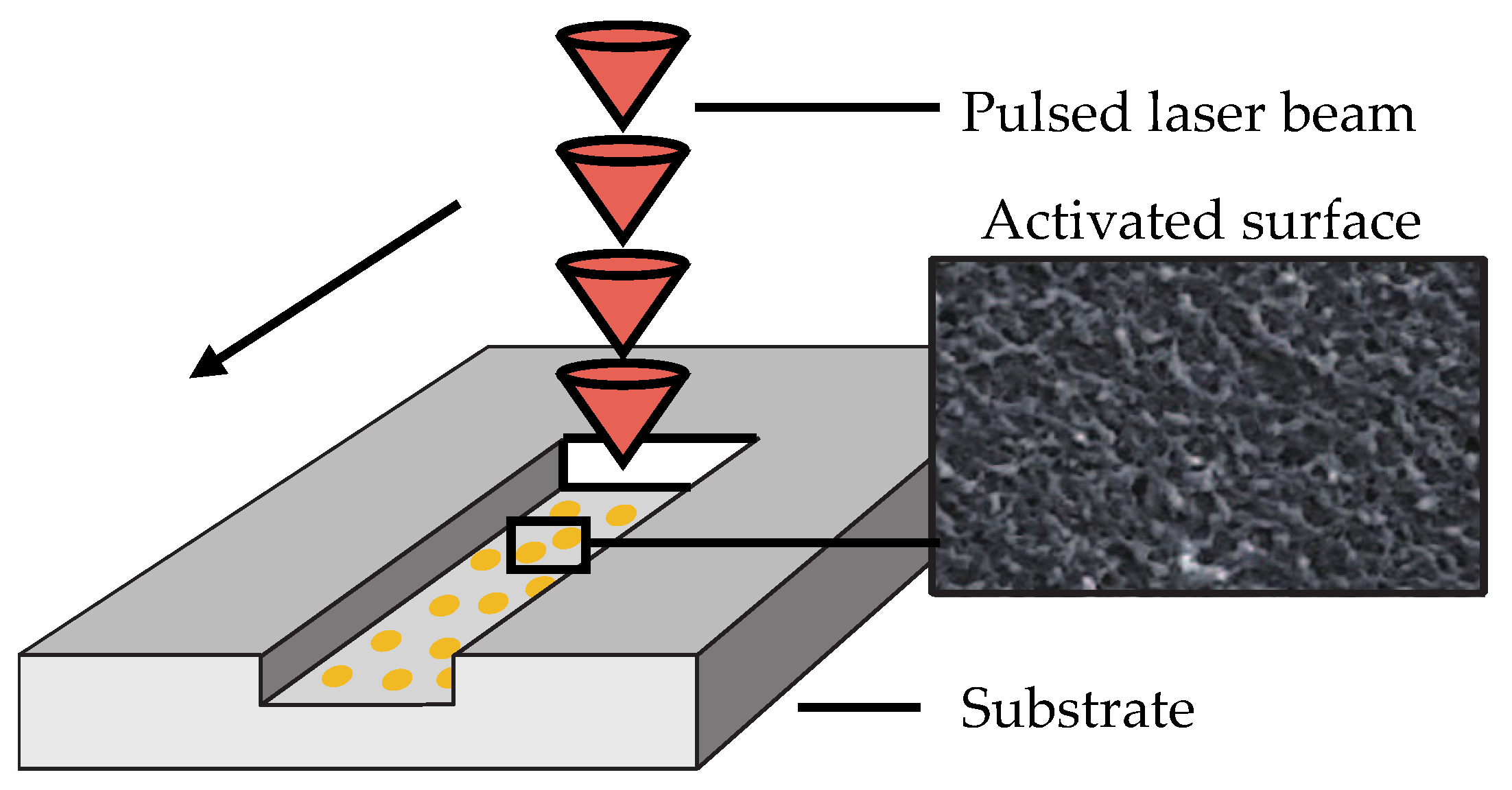 Preprints 140722 g003