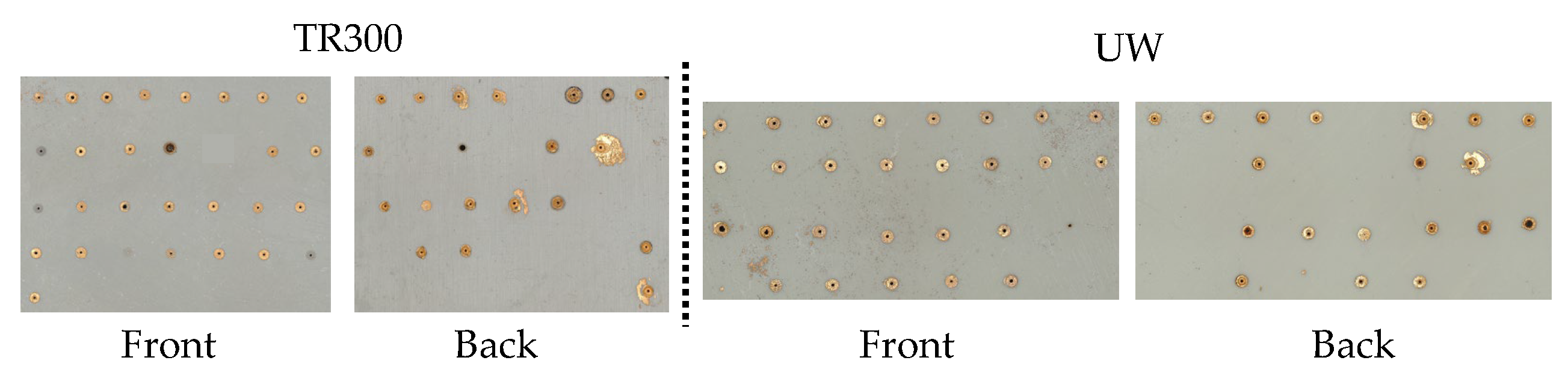 Preprints 140722 g009