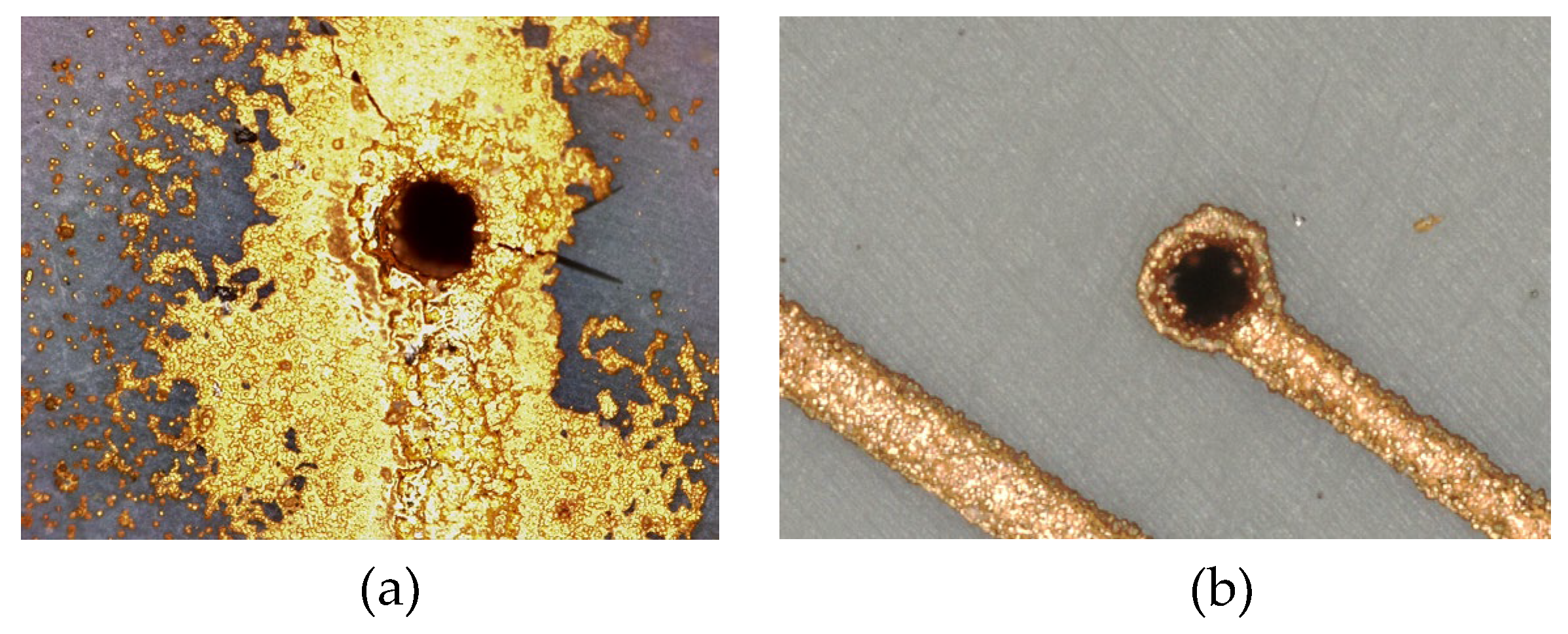 Preprints 140722 g011