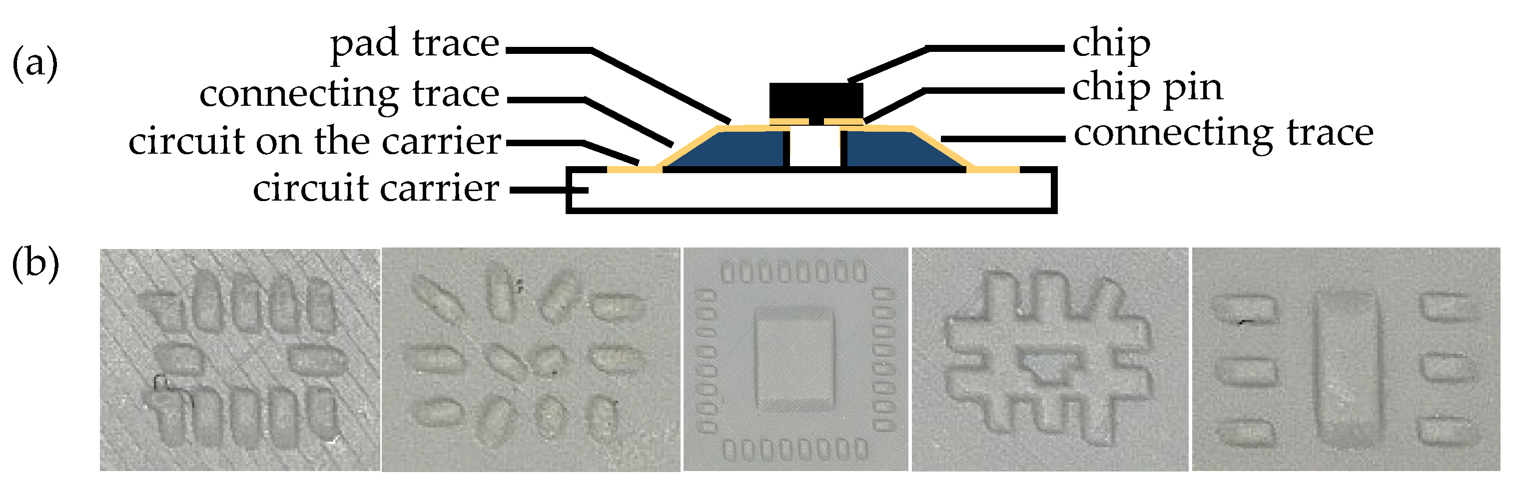 Preprints 140722 g022