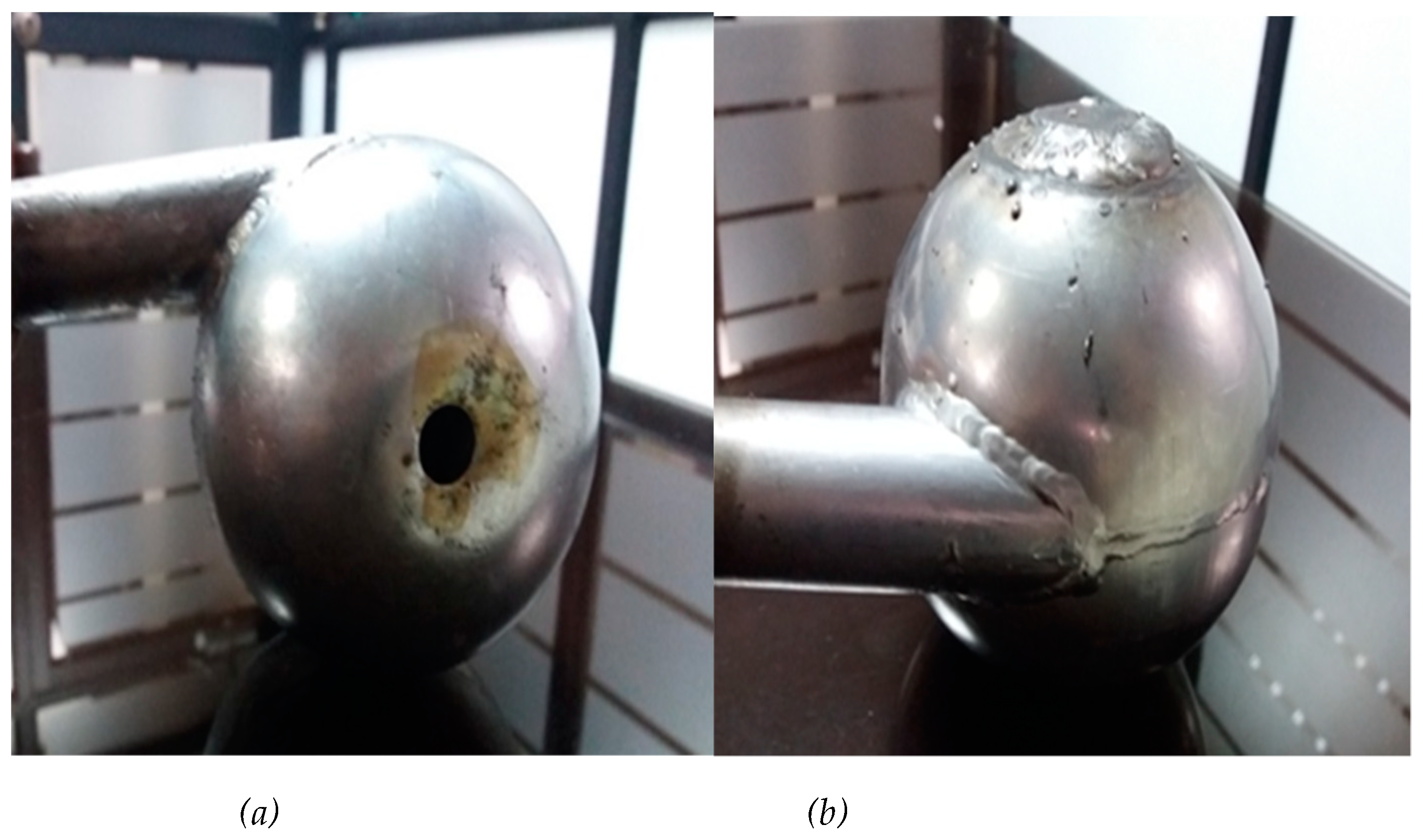 Preprints 83801 g008