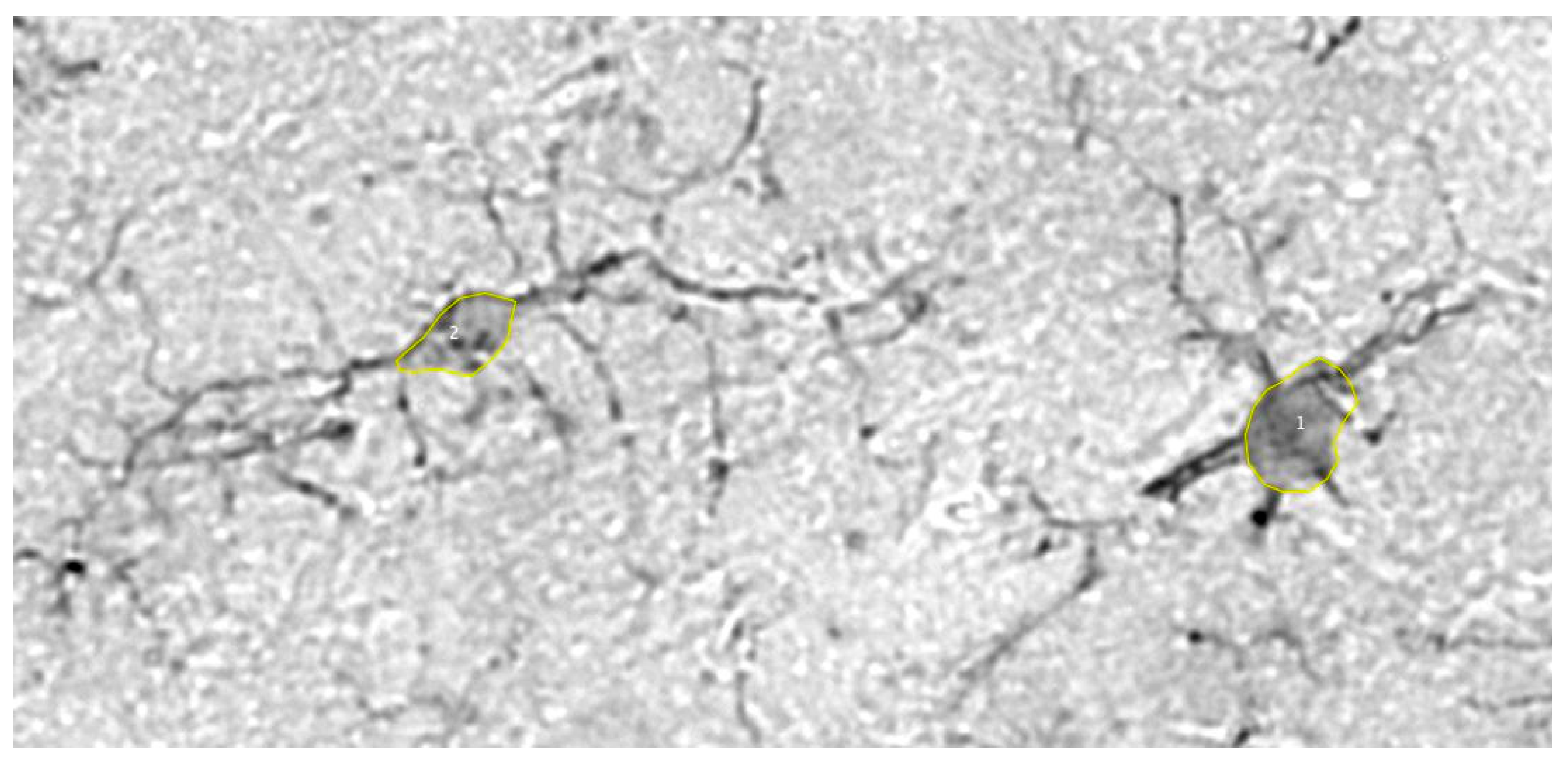 Preprints 170697 g001