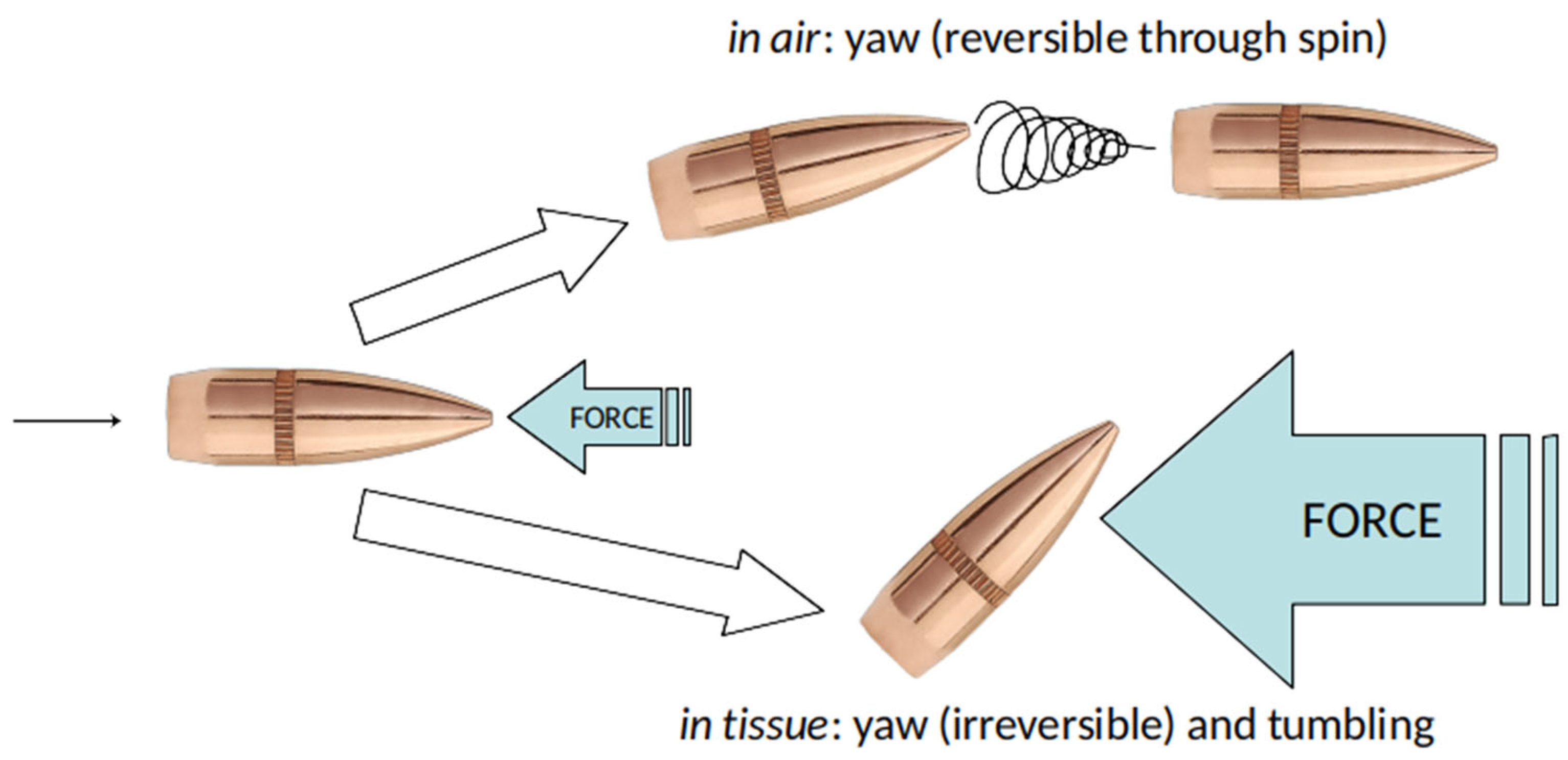 Preprints 170125 g002