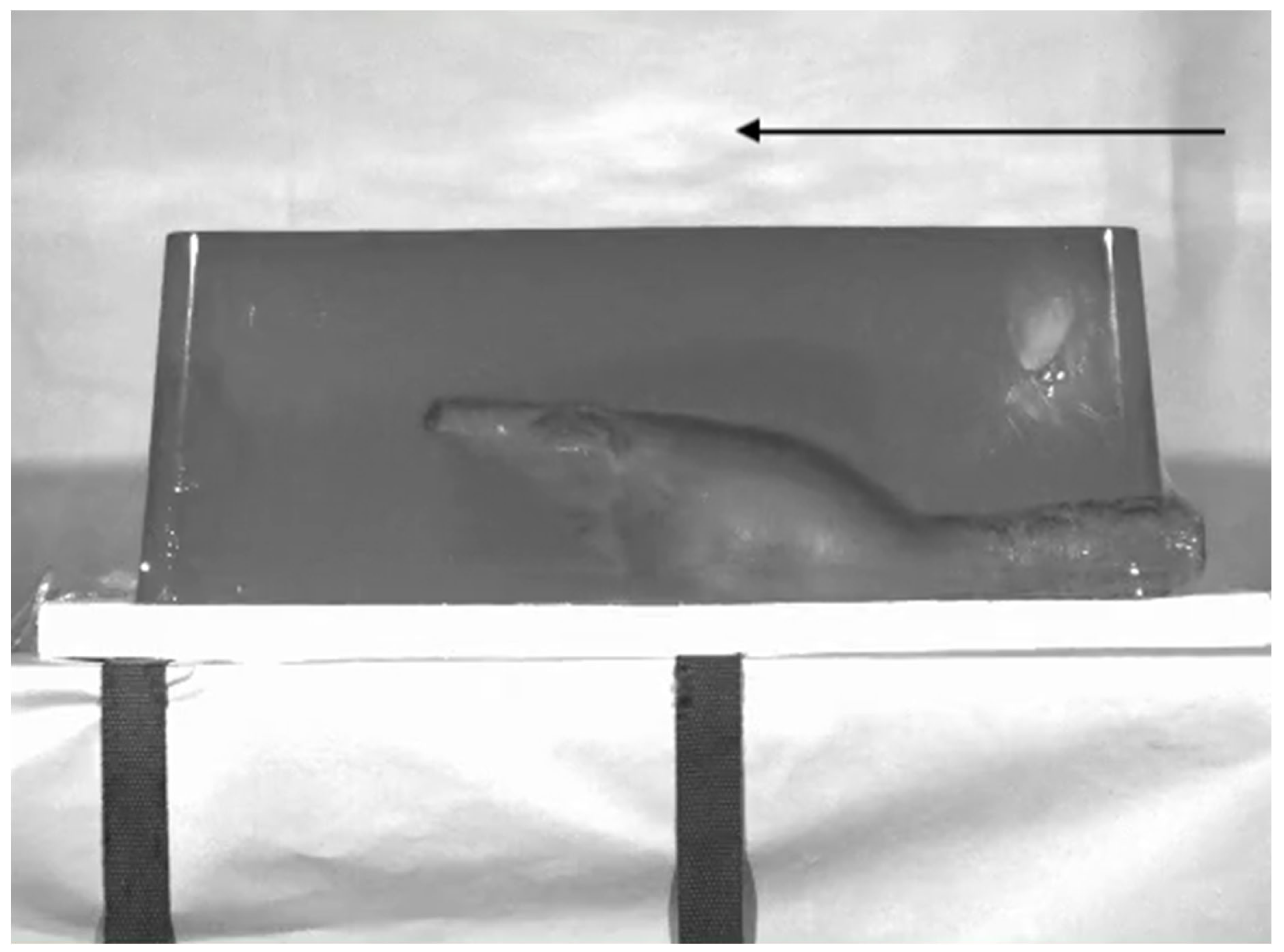 Preprints 170125 g005