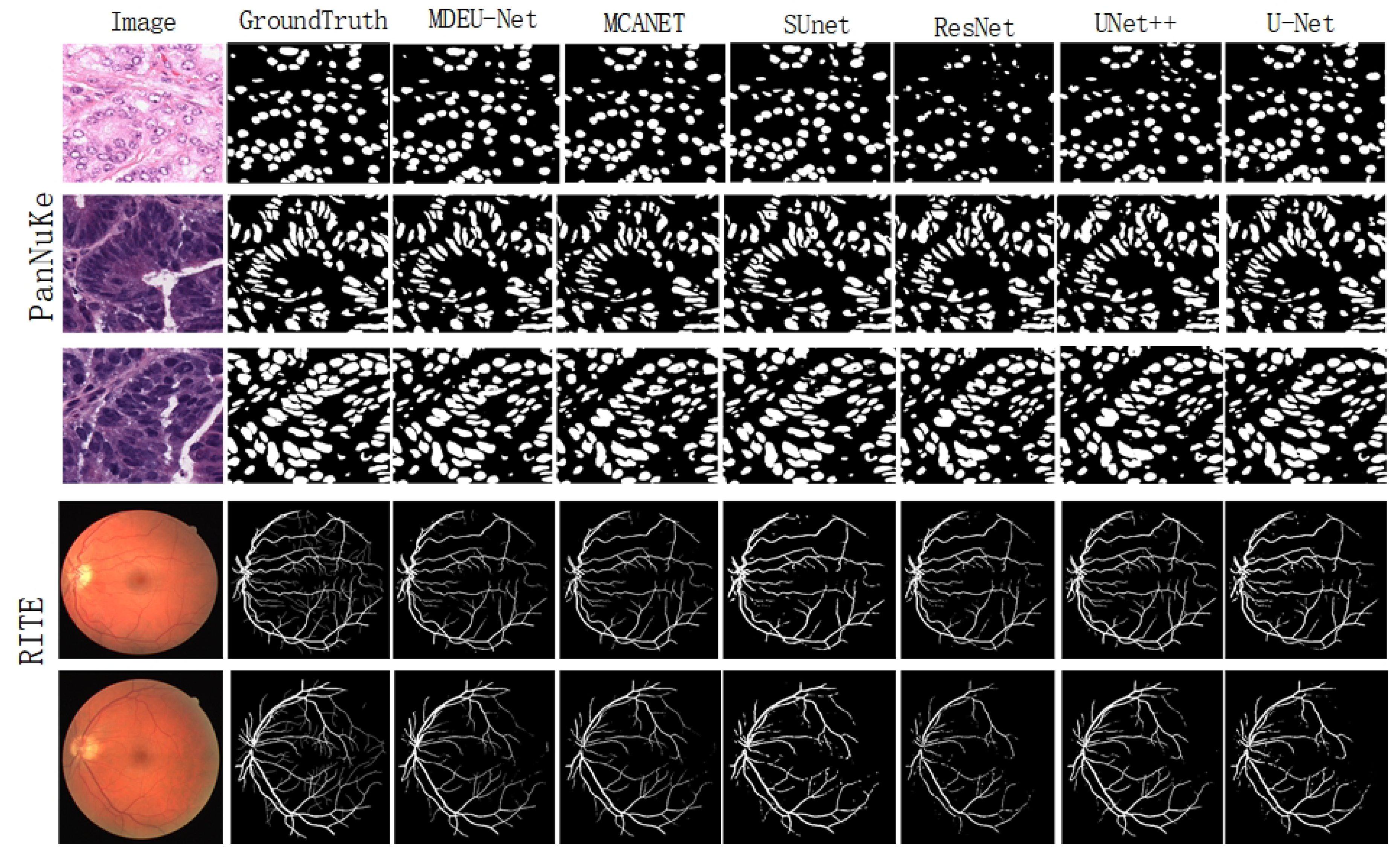 Preprints 154524 g006