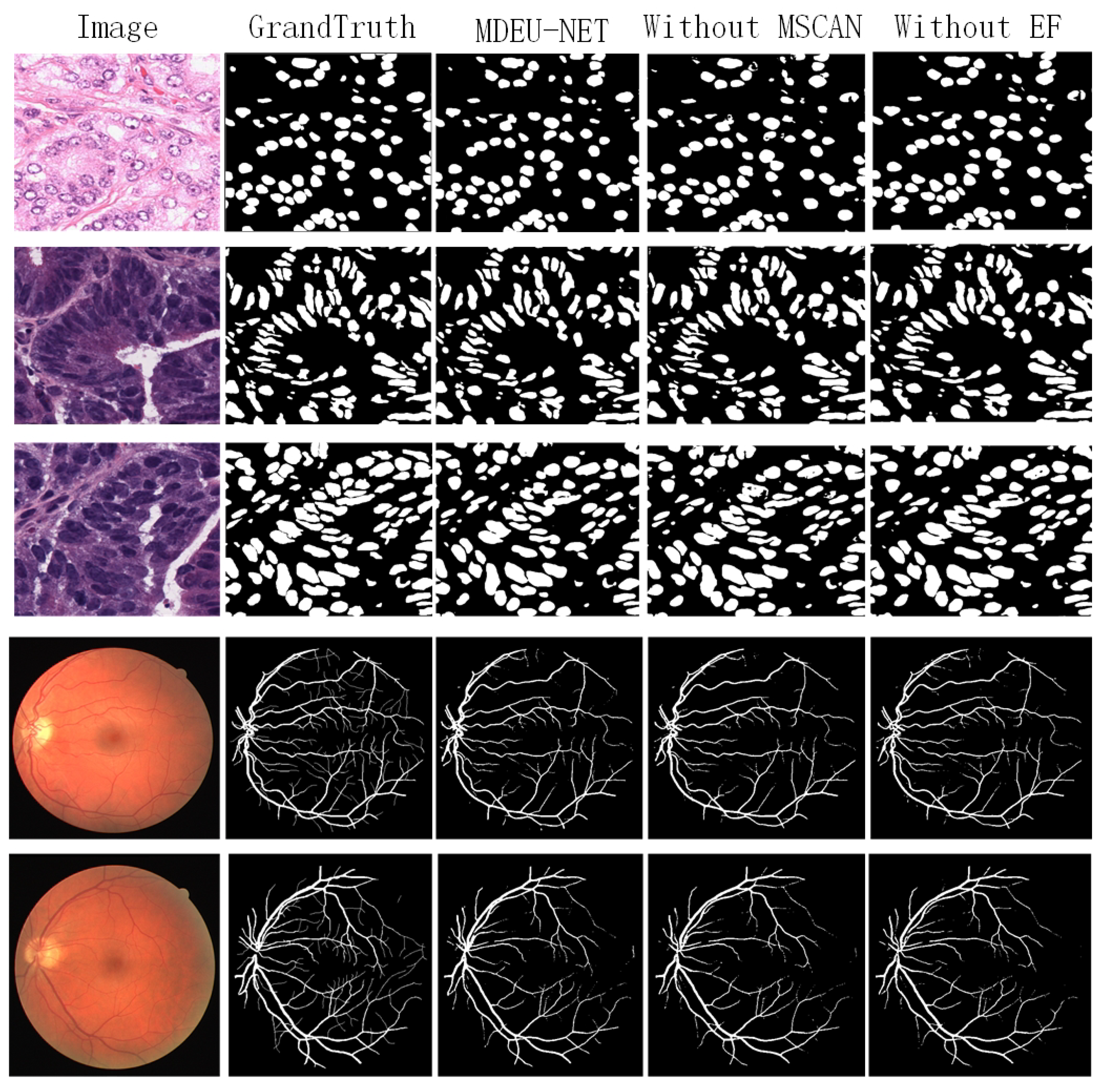 Preprints 154524 g008