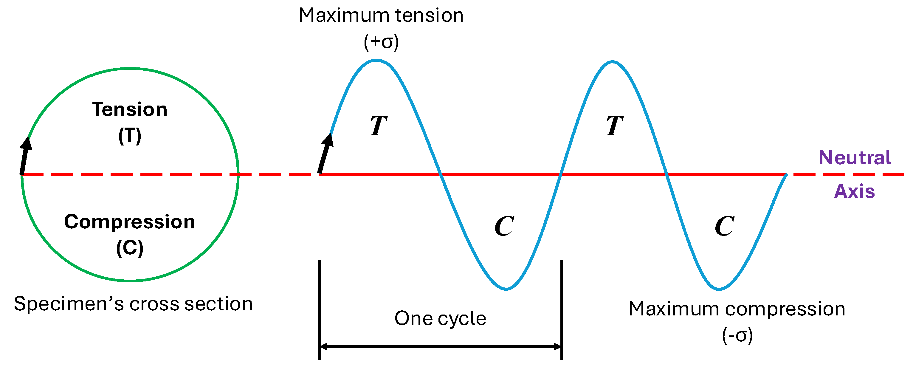 Preprints 196901 g008