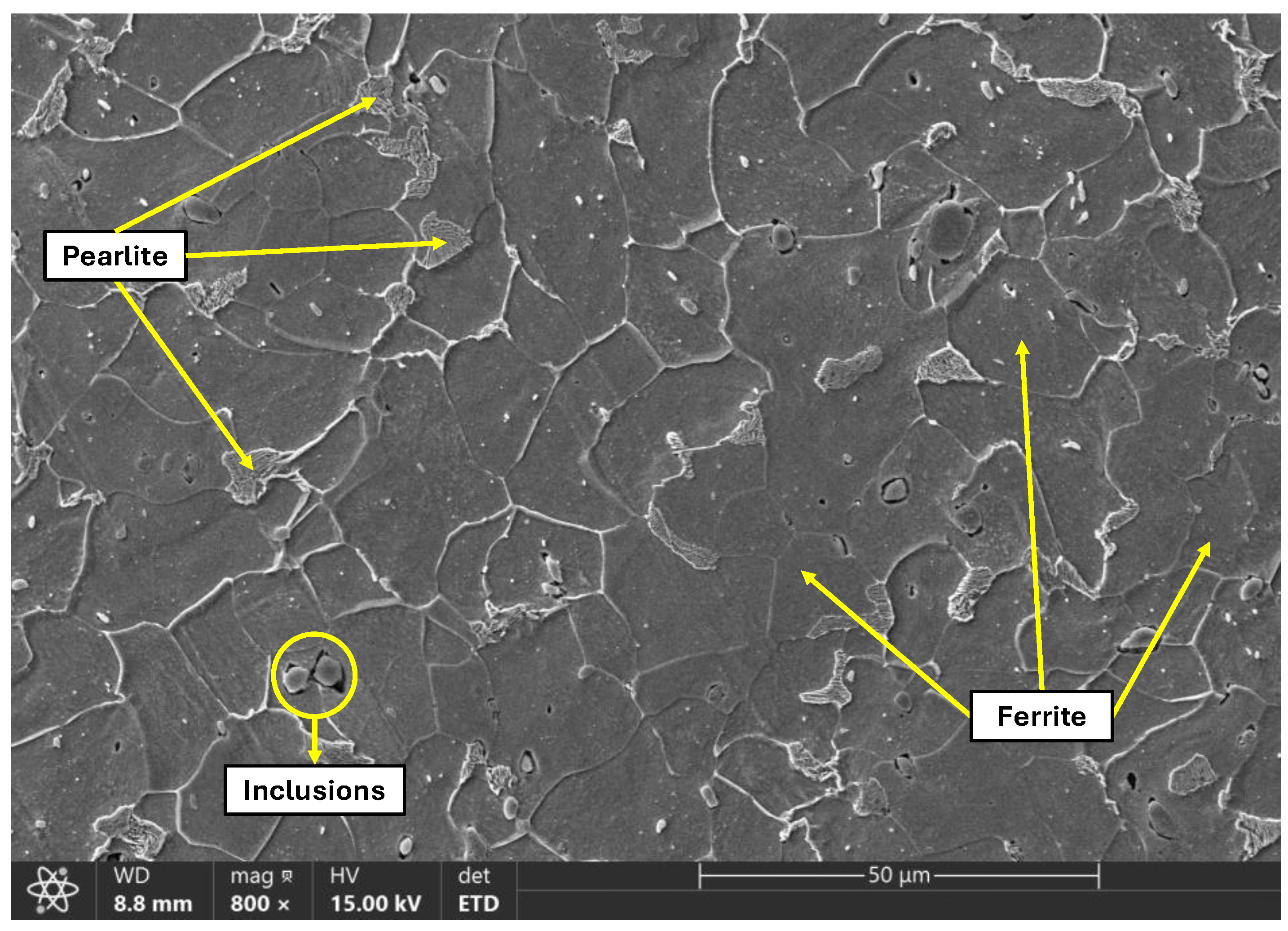 Preprints 196901 g011