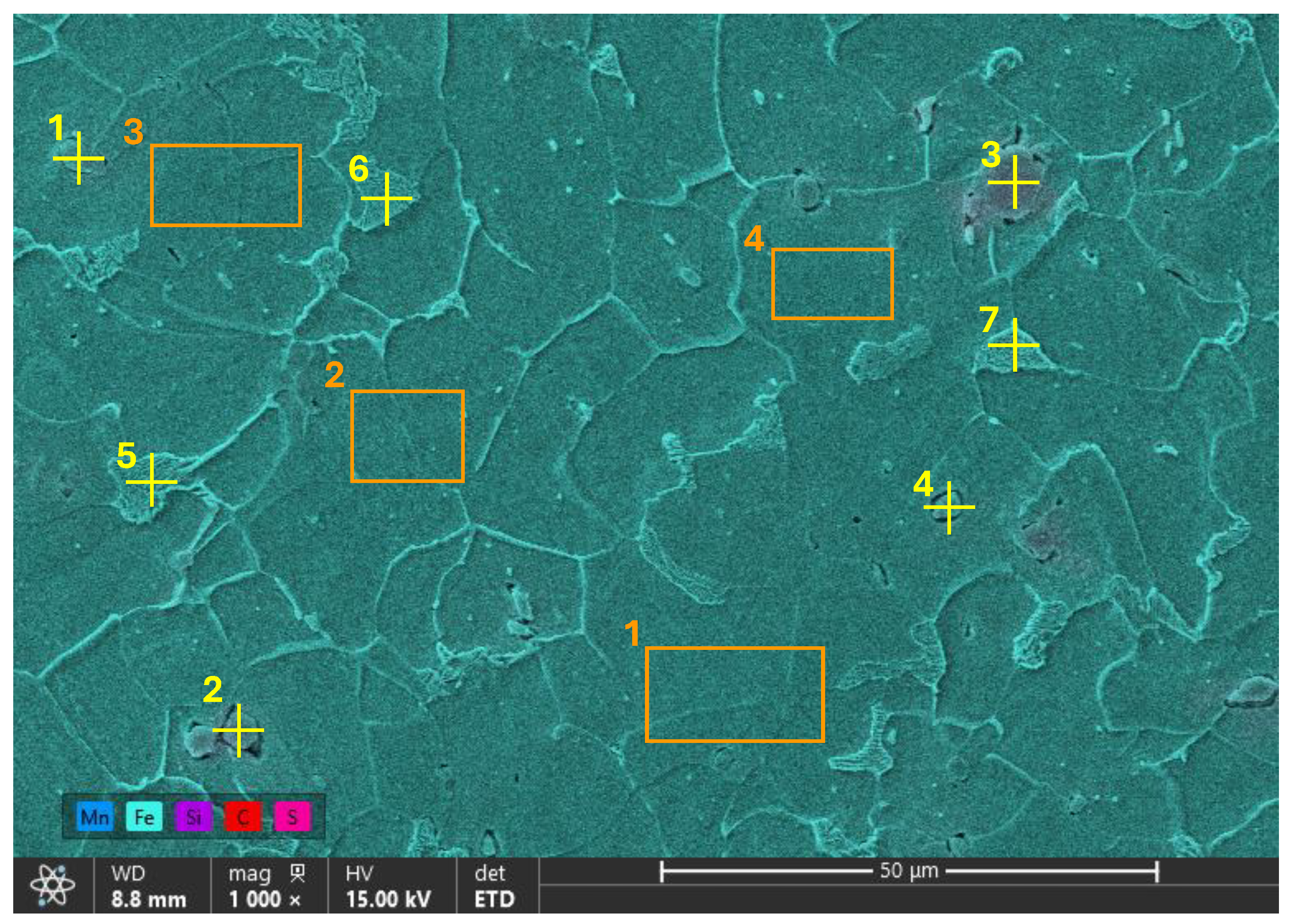 Preprints 196901 g012