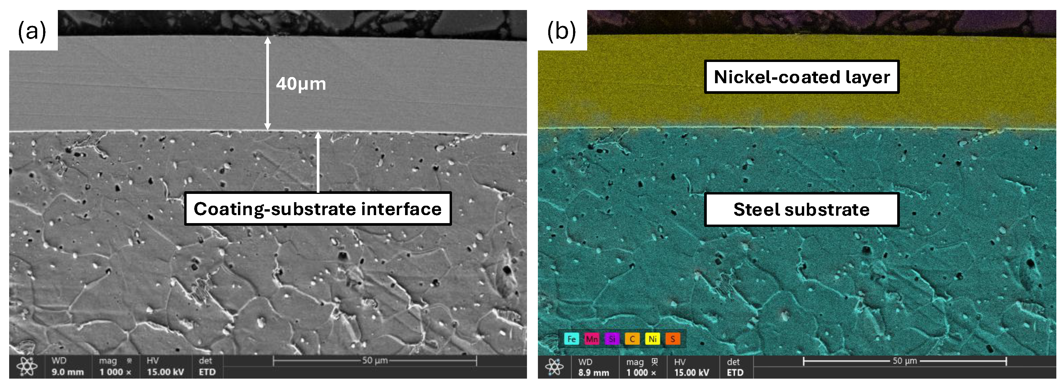 Preprints 196901 g013