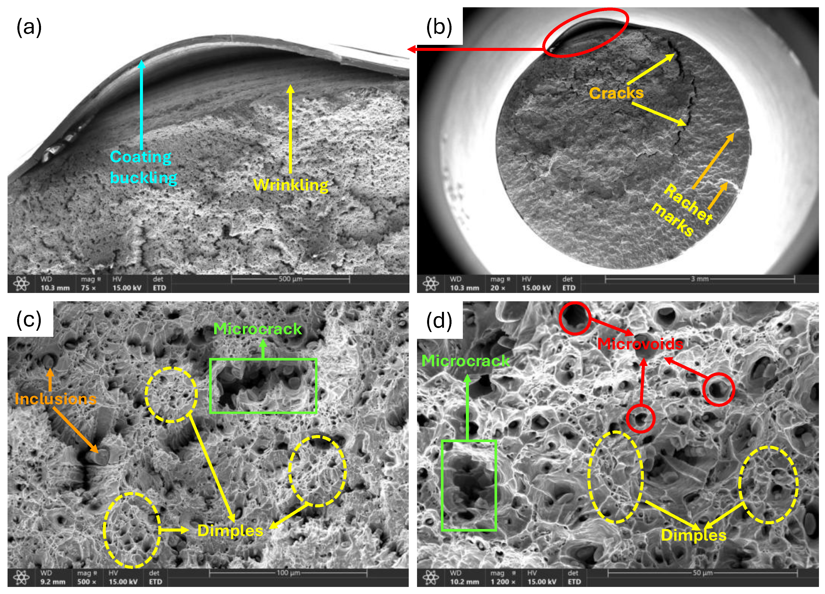 Preprints 196901 g016