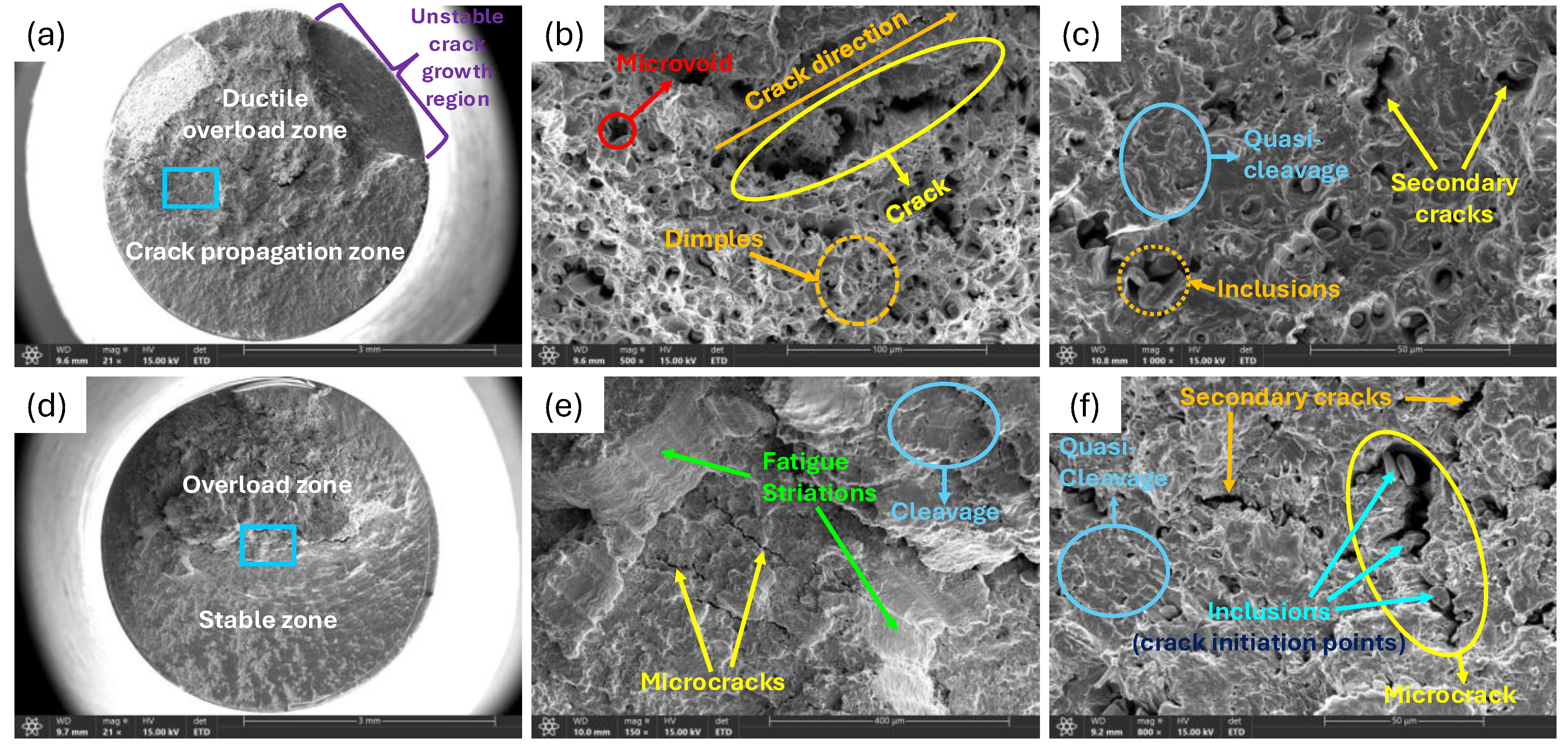 Preprints 196901 g017