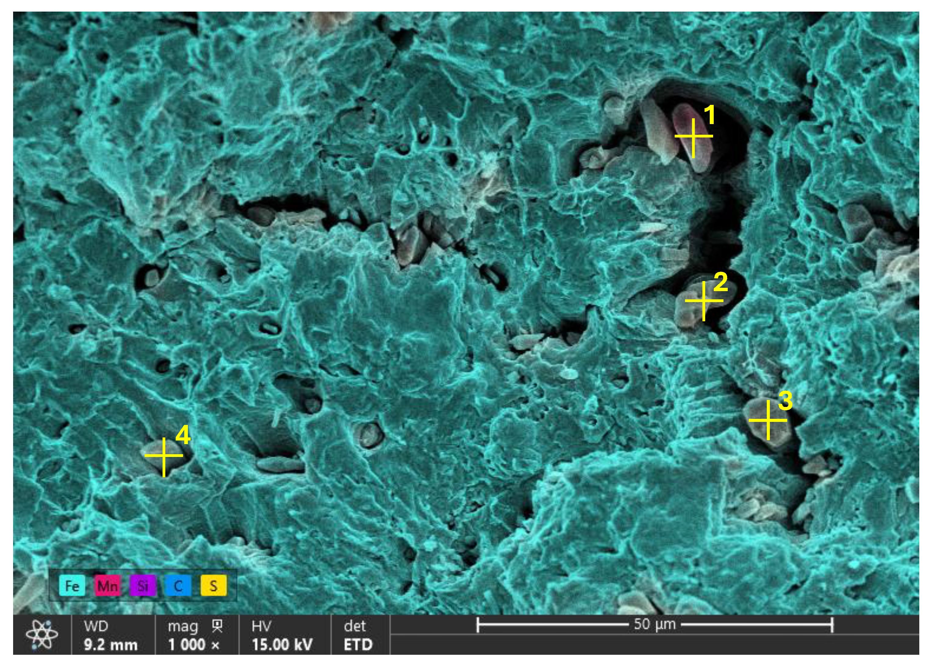 Preprints 196901 g018
