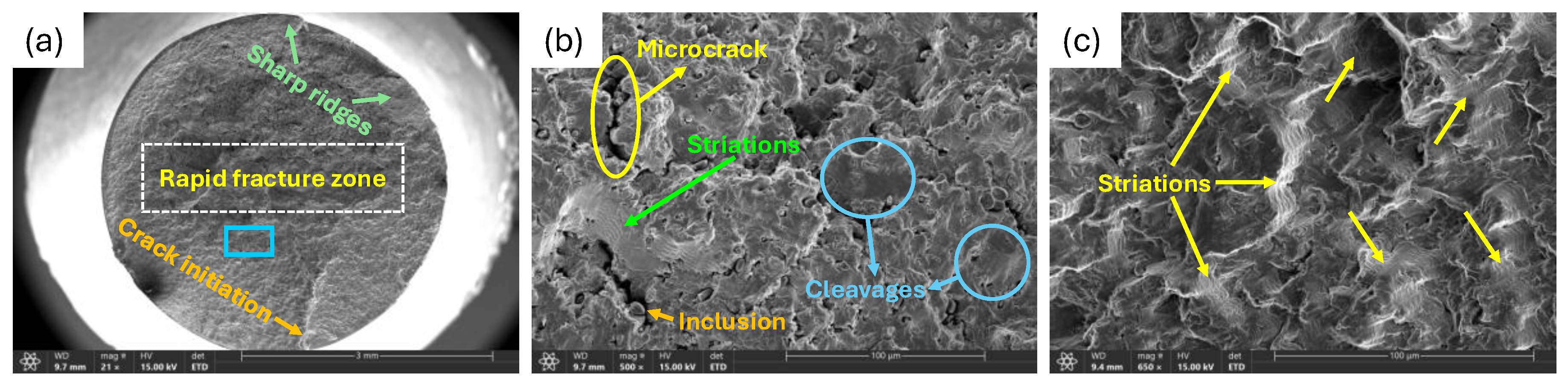 Preprints 196901 g019