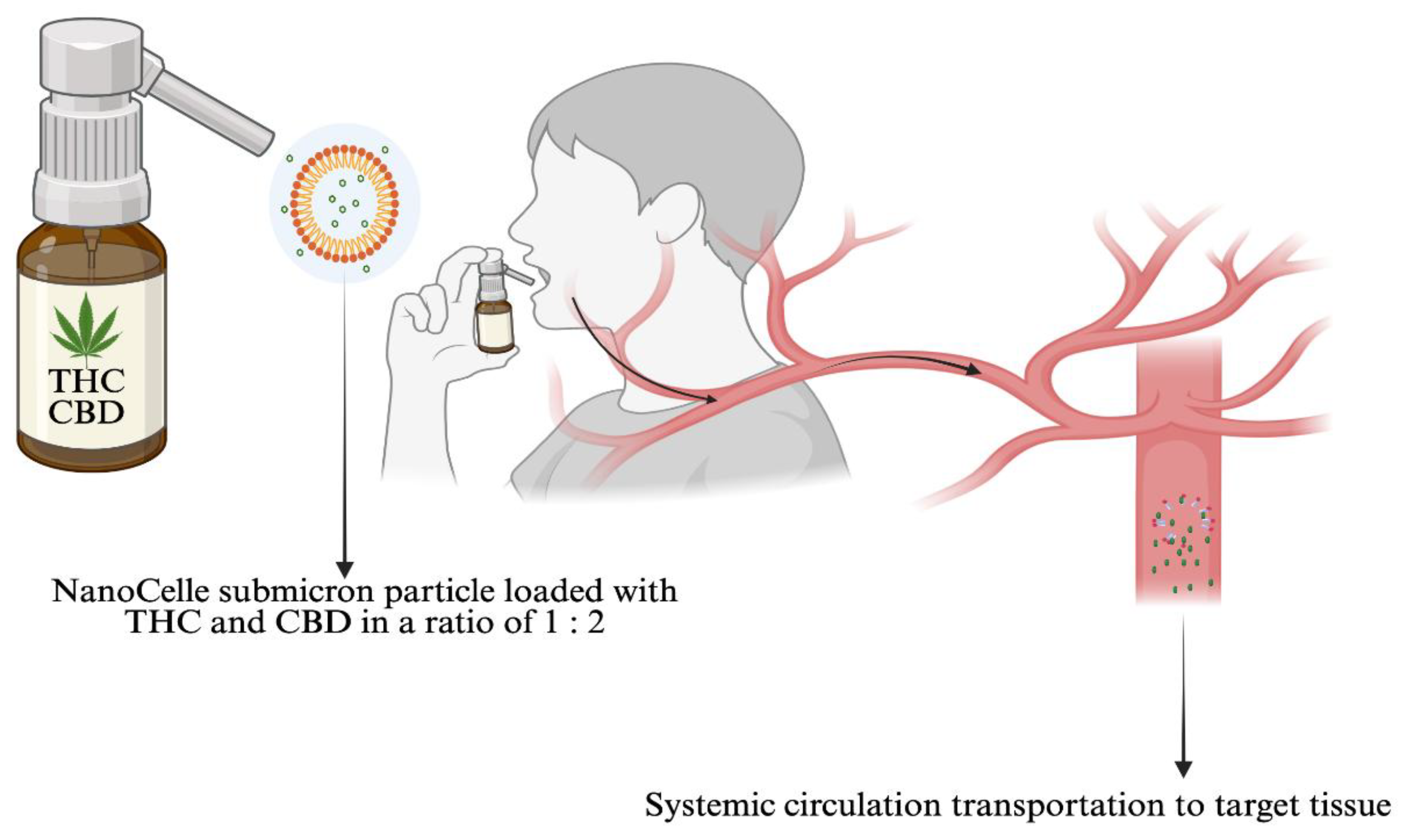 Preprints 169166 g002