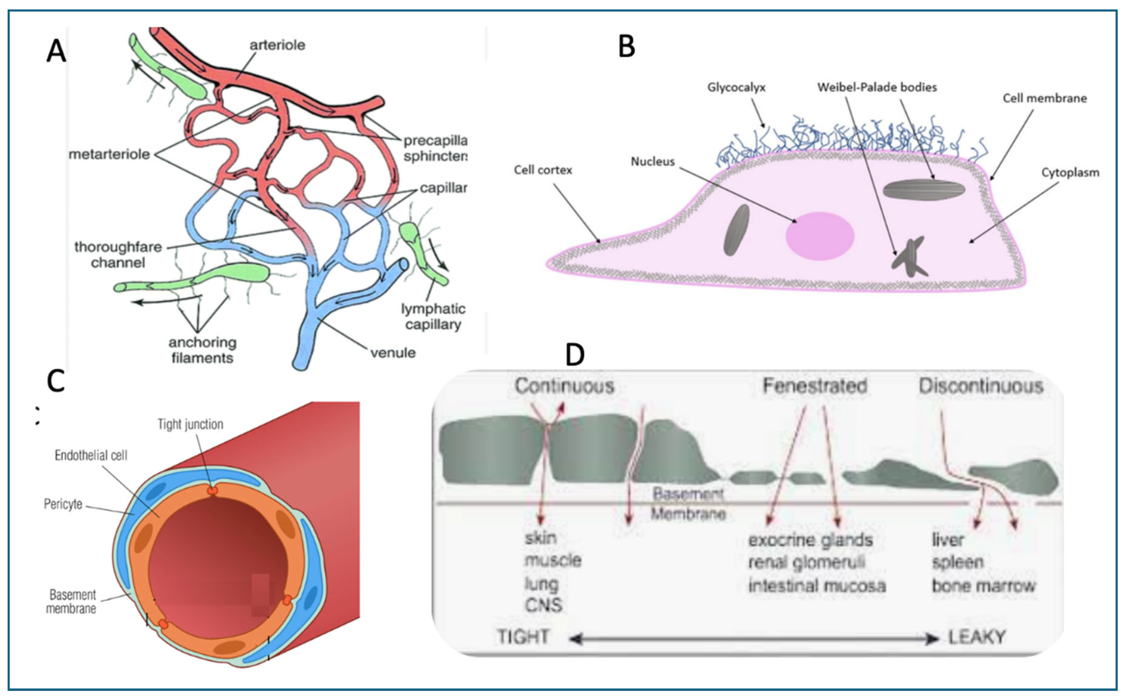 Preprints 161333 g001