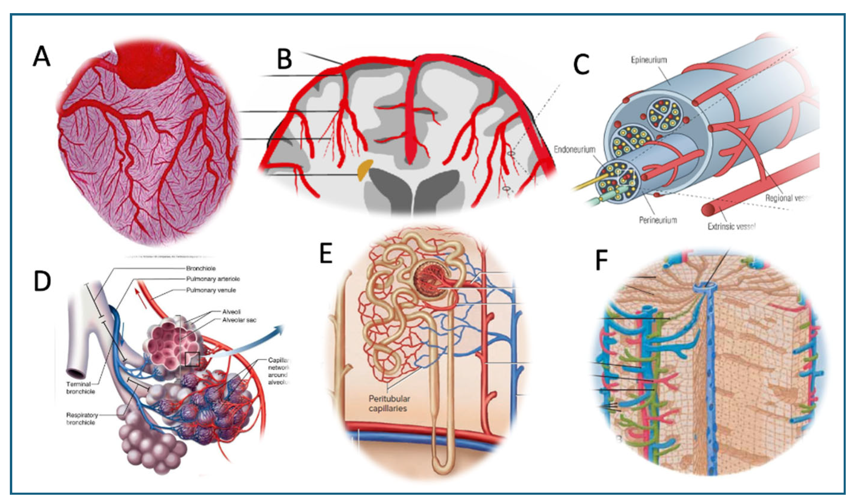 Preprints 161333 g002