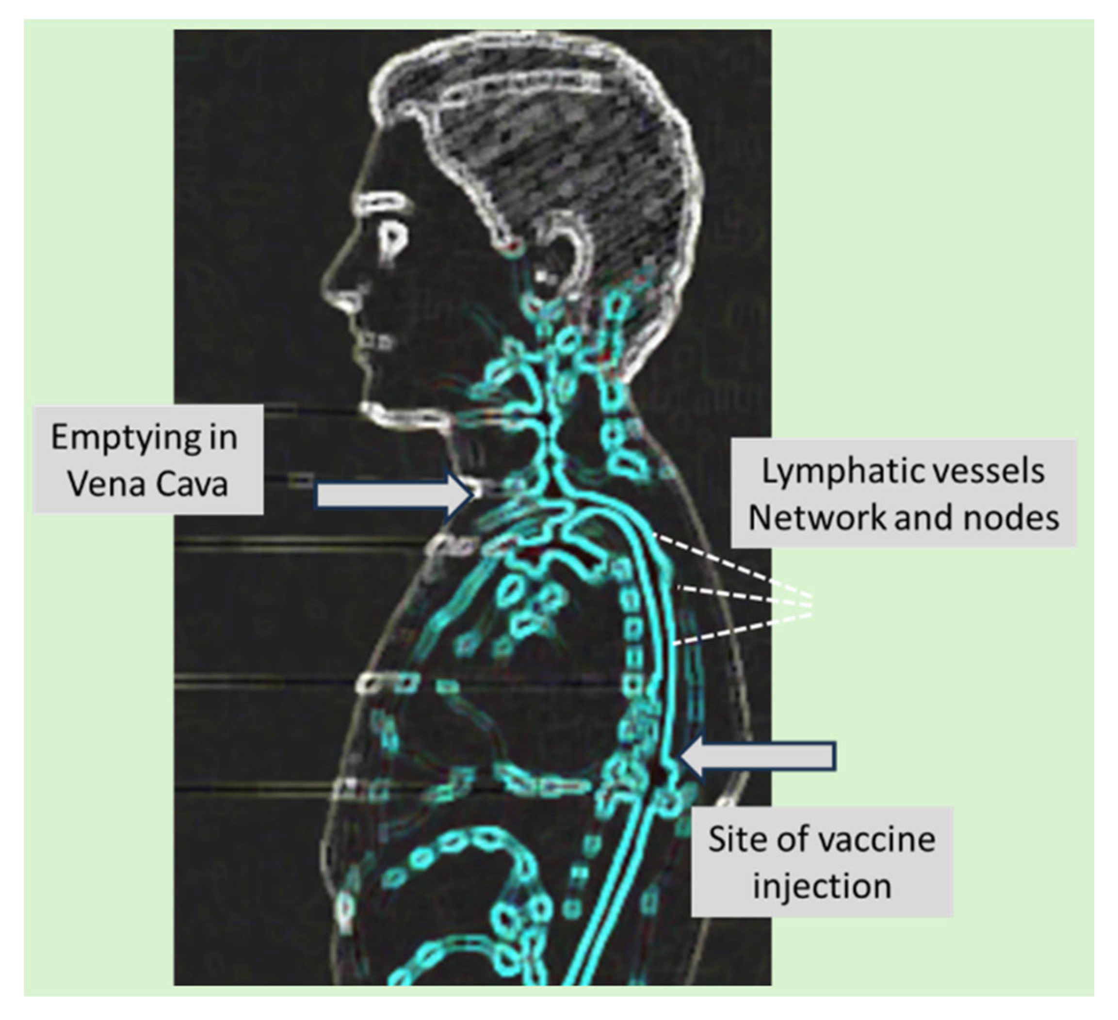 Preprints 161333 g003